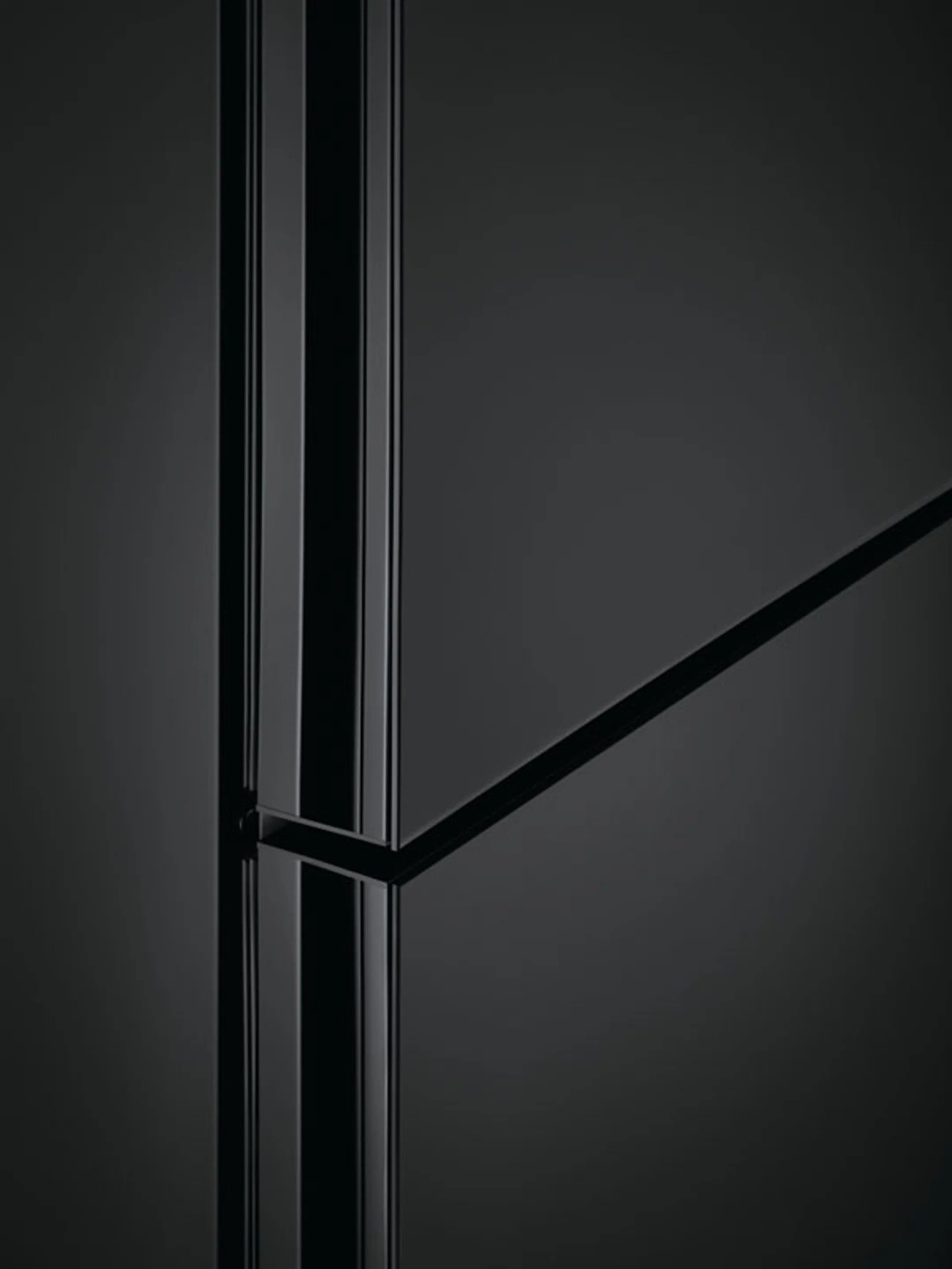 AEG Koelkast met diepvries ORC8M361DT image