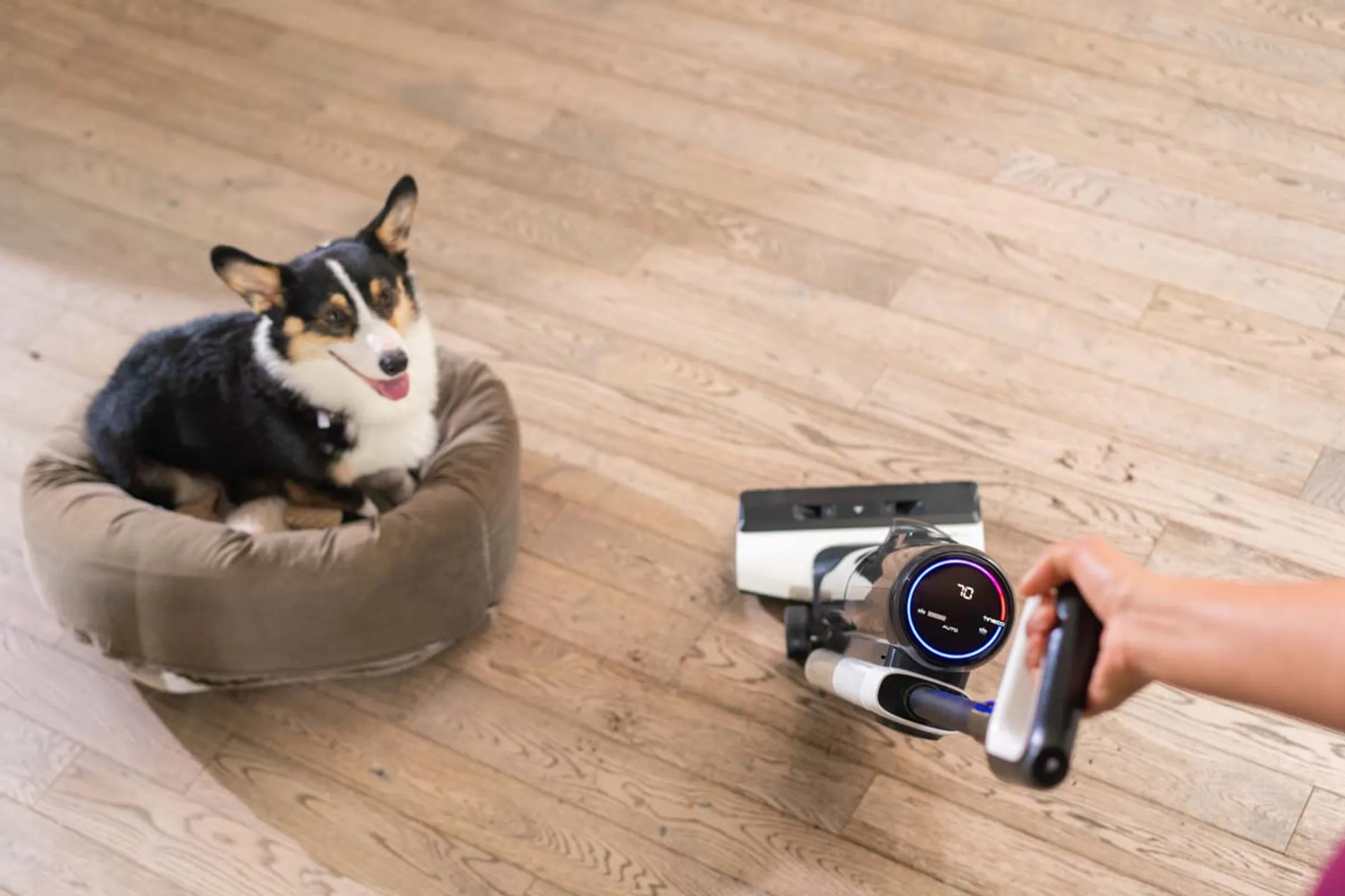 TINECO Vloerreiniger One S5 Extreme image