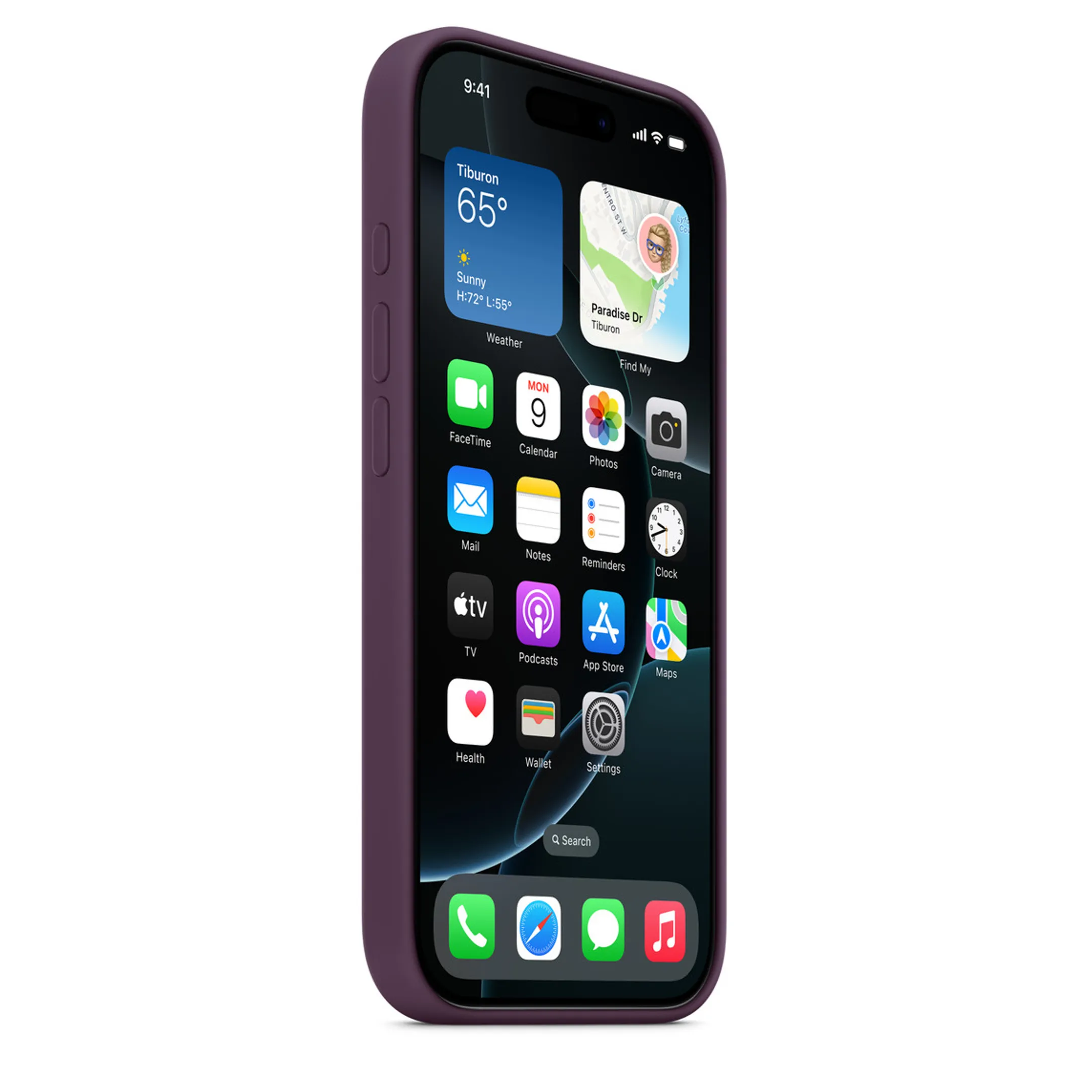 Apple Silicone case met MagSafe voor iPhone 16 Pro - Plum image