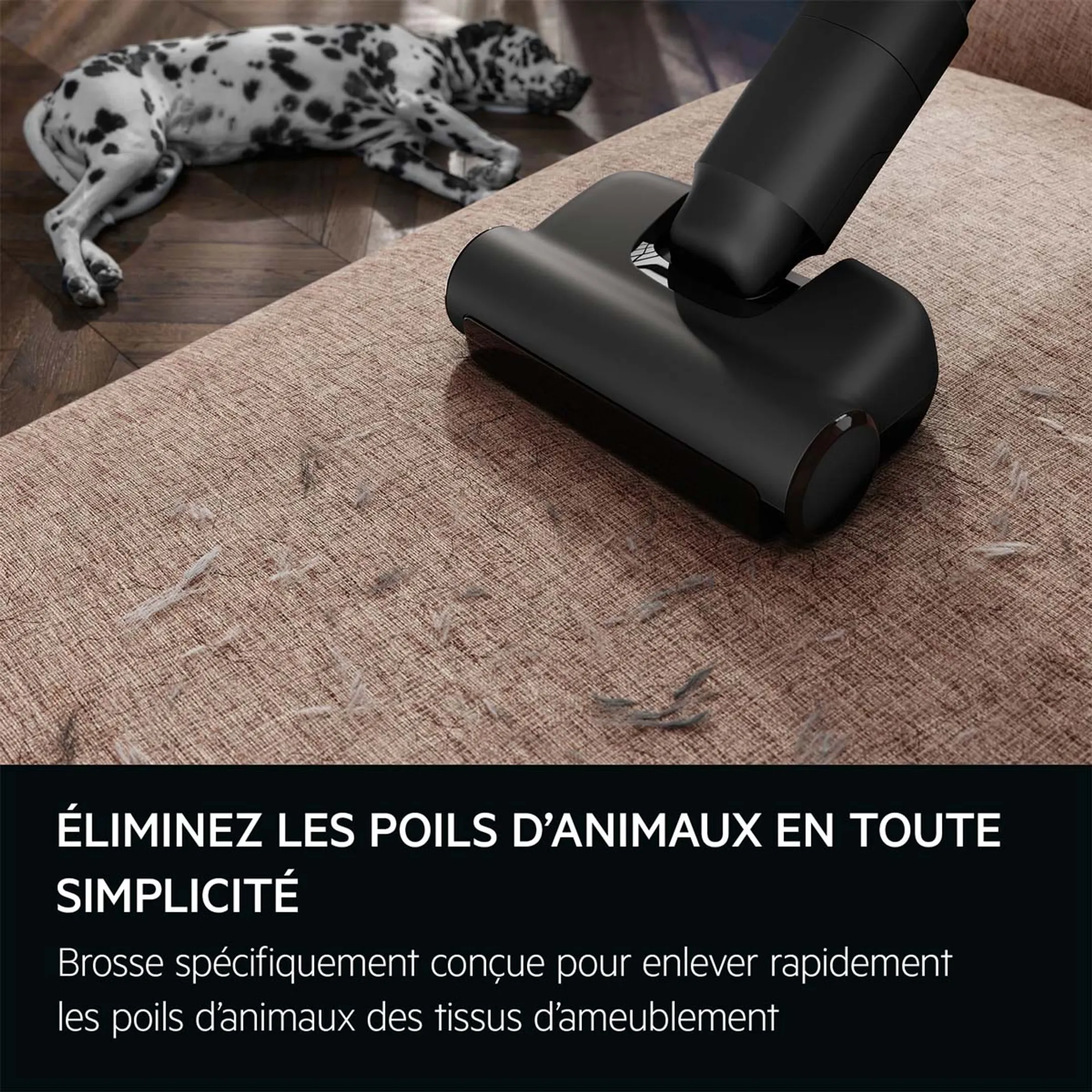 AEG Aspirateur balai AP82AB25DG image