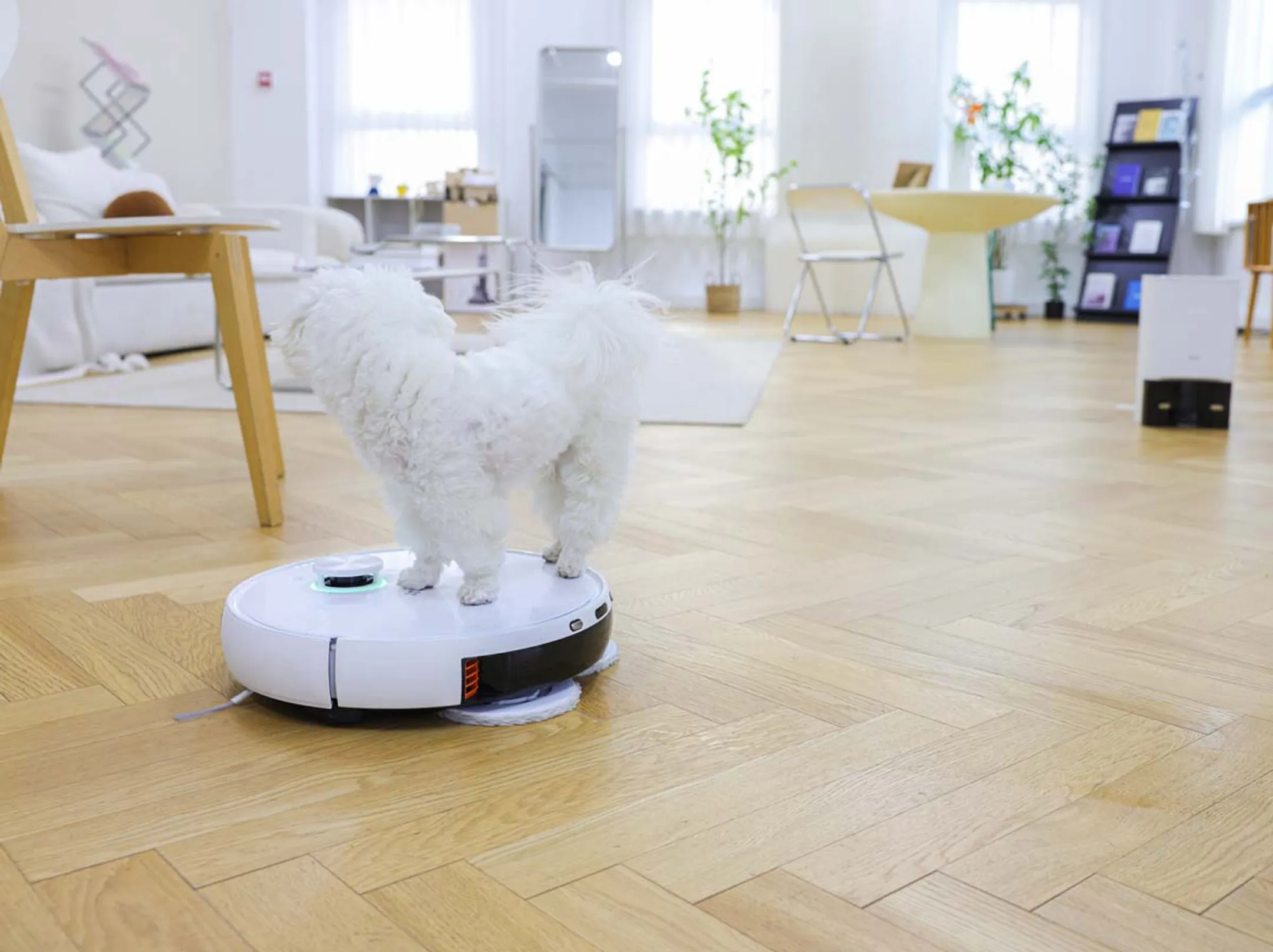 Ezviz Robotstofzuiger 2in1 RS2 image