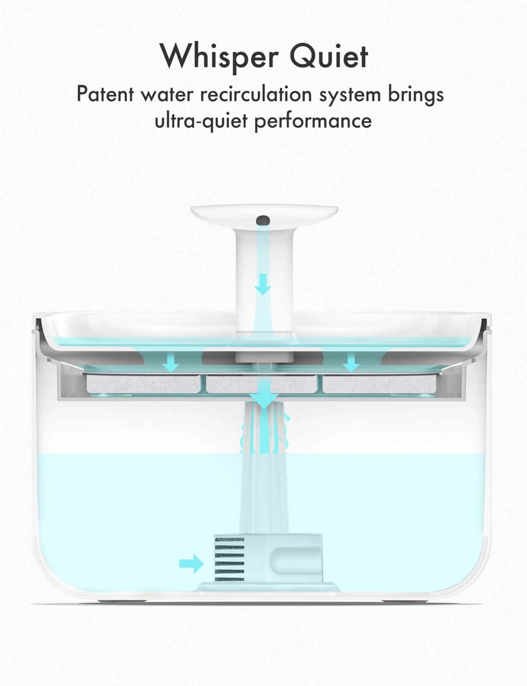 PETLIBRO Waterfontein CAPSULE  image
