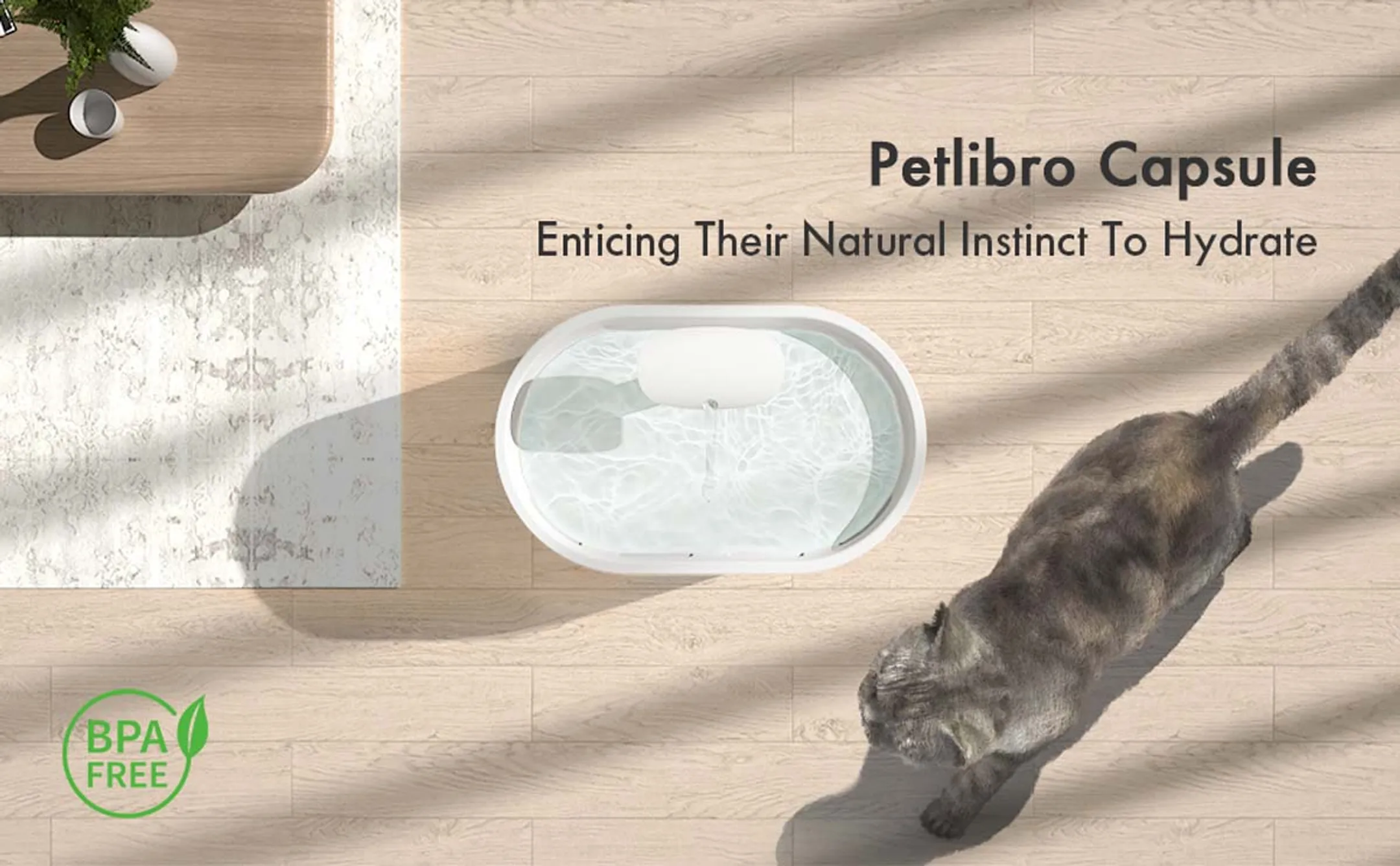 PETLIBRO Waterfontein CAPSULE  image