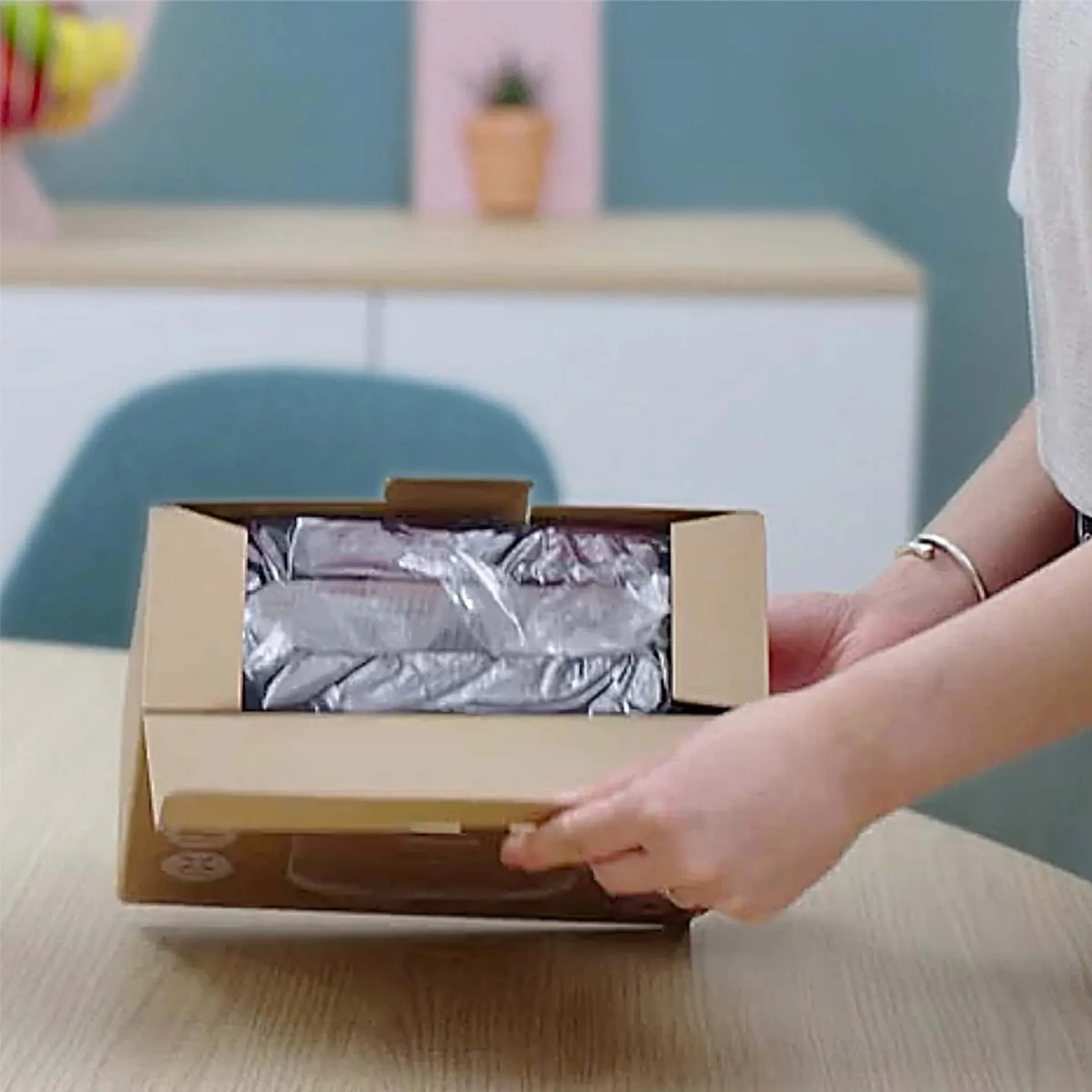 Philips Filtre HEPA NanoProtect FY0900/30 image