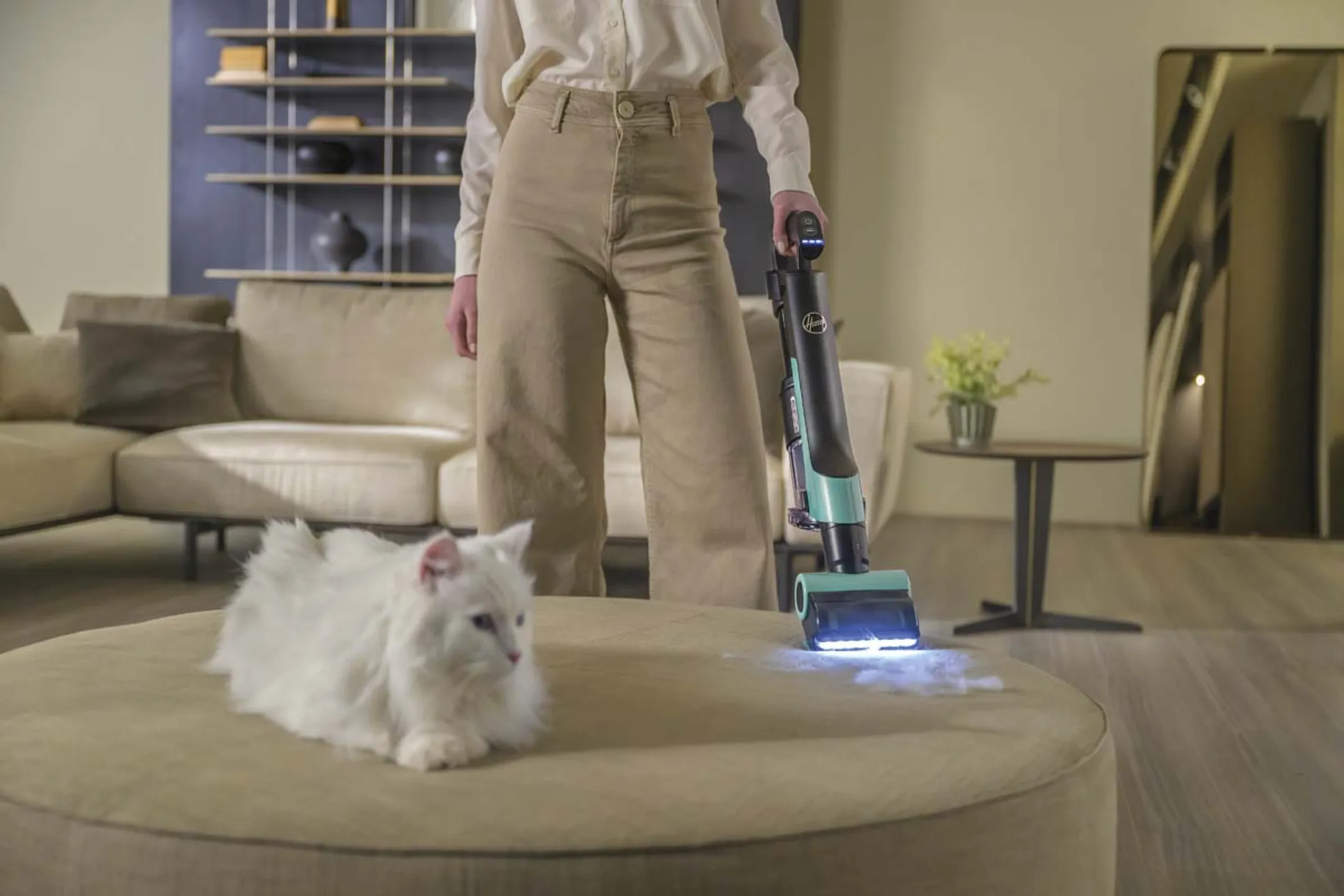 Hoover Steelstofzuiger HF2 Pet image