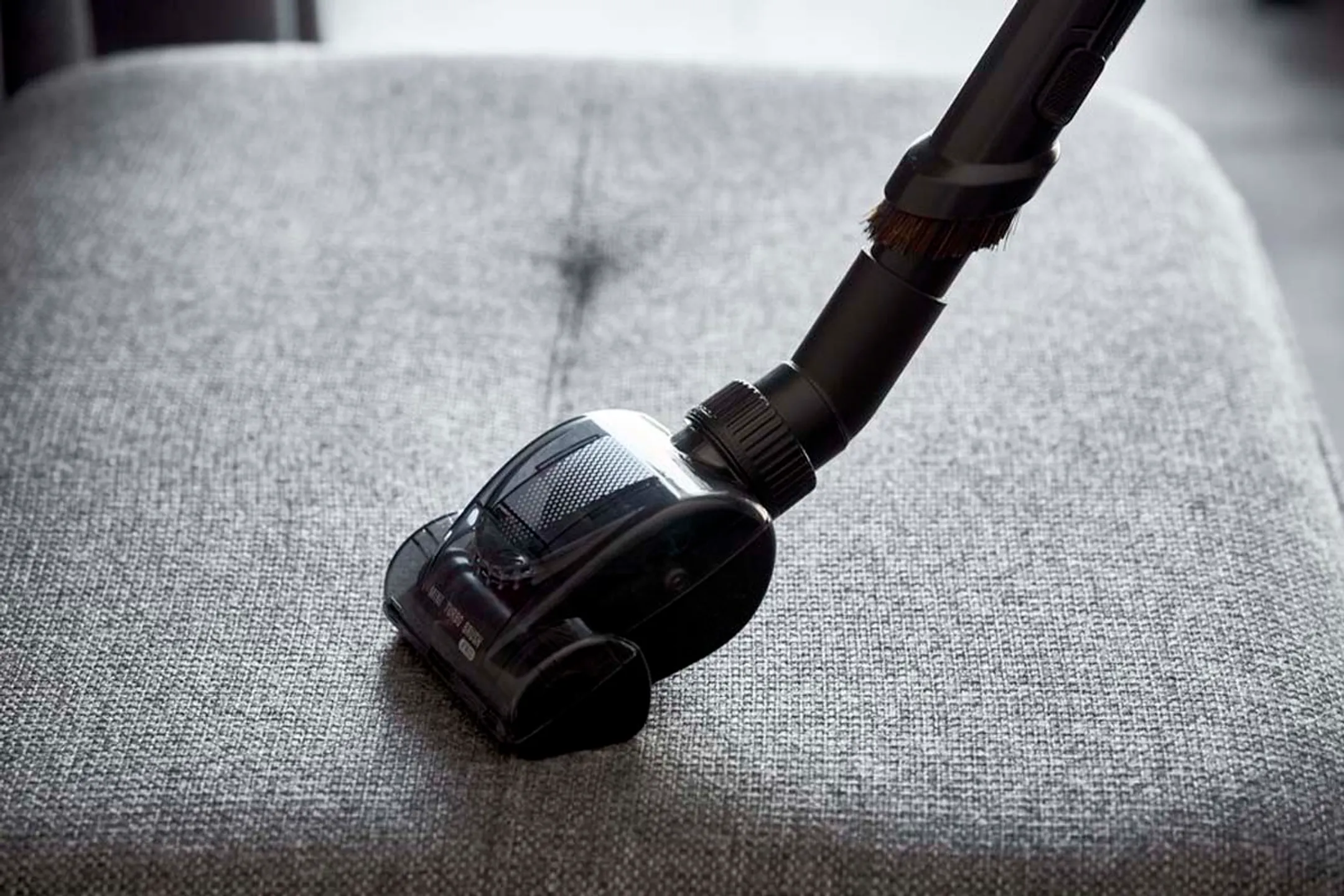 Rowenta Aspirateur avec sac GREEN FORCE EFFITECH ANIMAL YY5511FE image