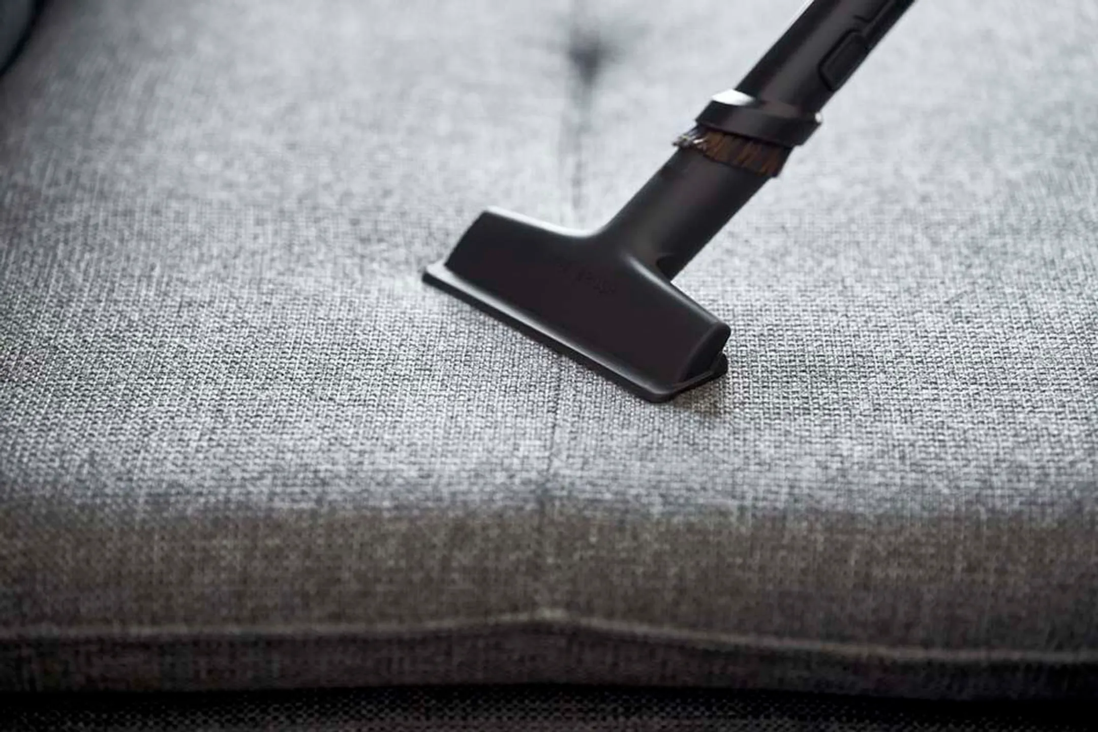 Rowenta Aspirateur avec sac GREEN FORCE EFFITECH ANIMAL YY5511FE image