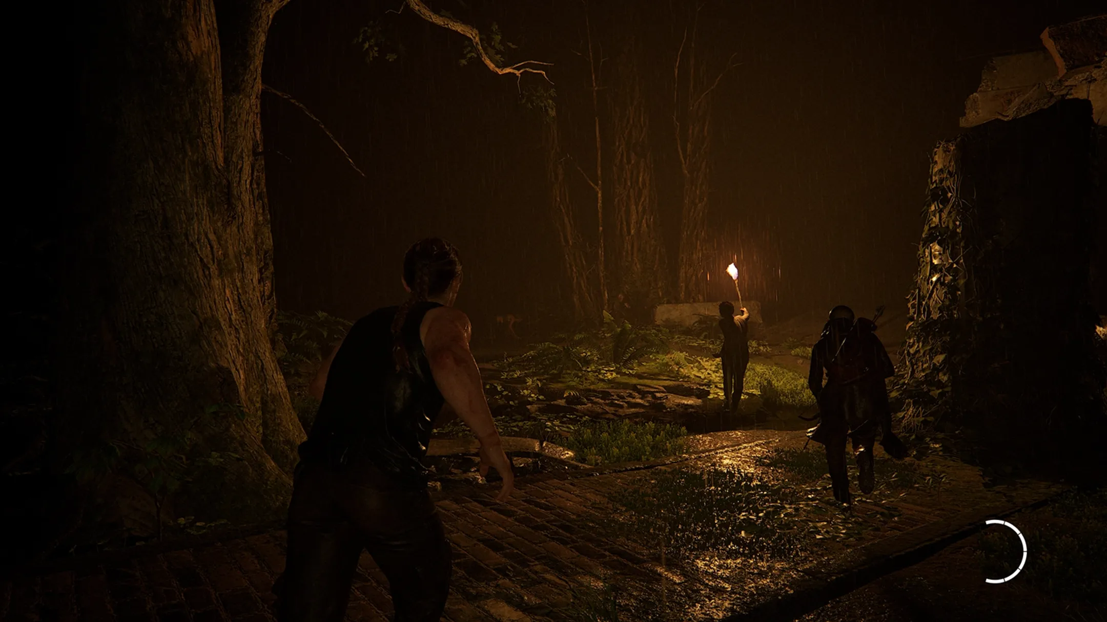 Playstation The Last of Us: Part II Remastered image