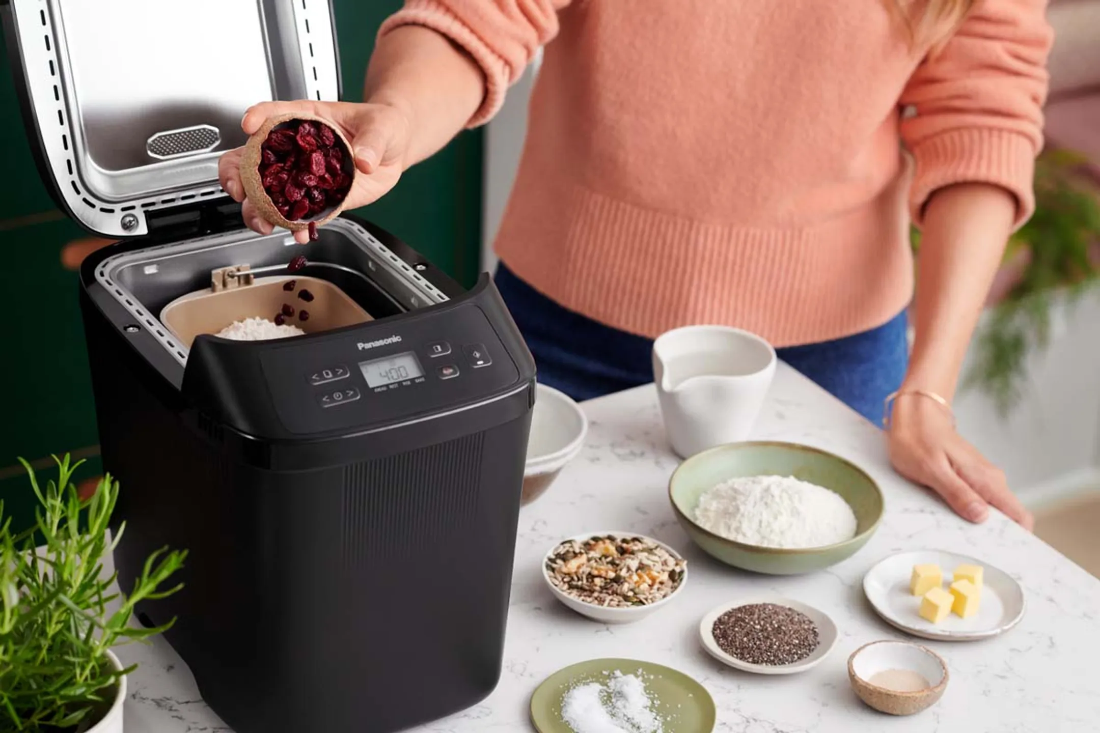 Panasonic Machine à pain SD-PN100KXE image