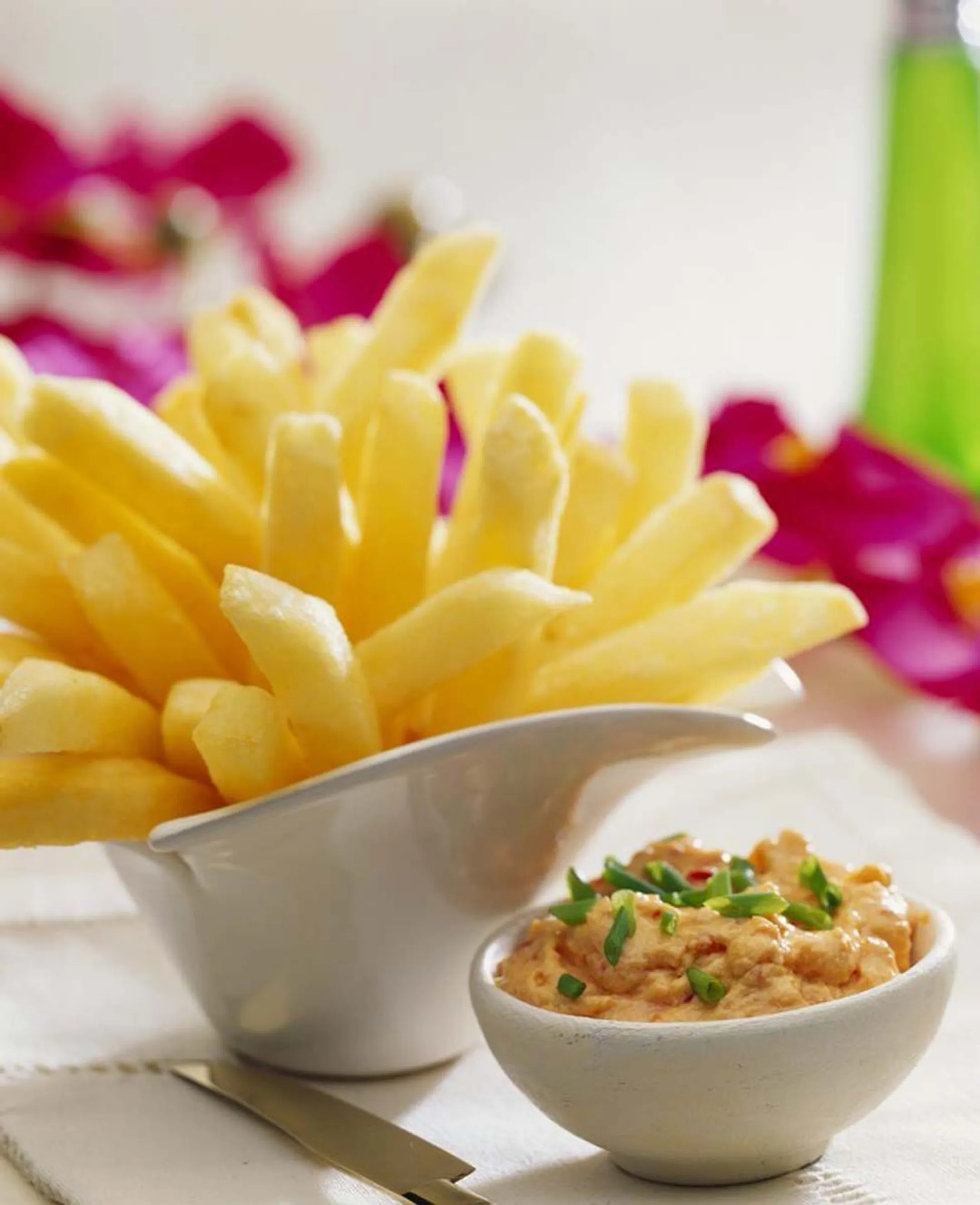 FRITEL Friteuse Turbo SF 4368 image