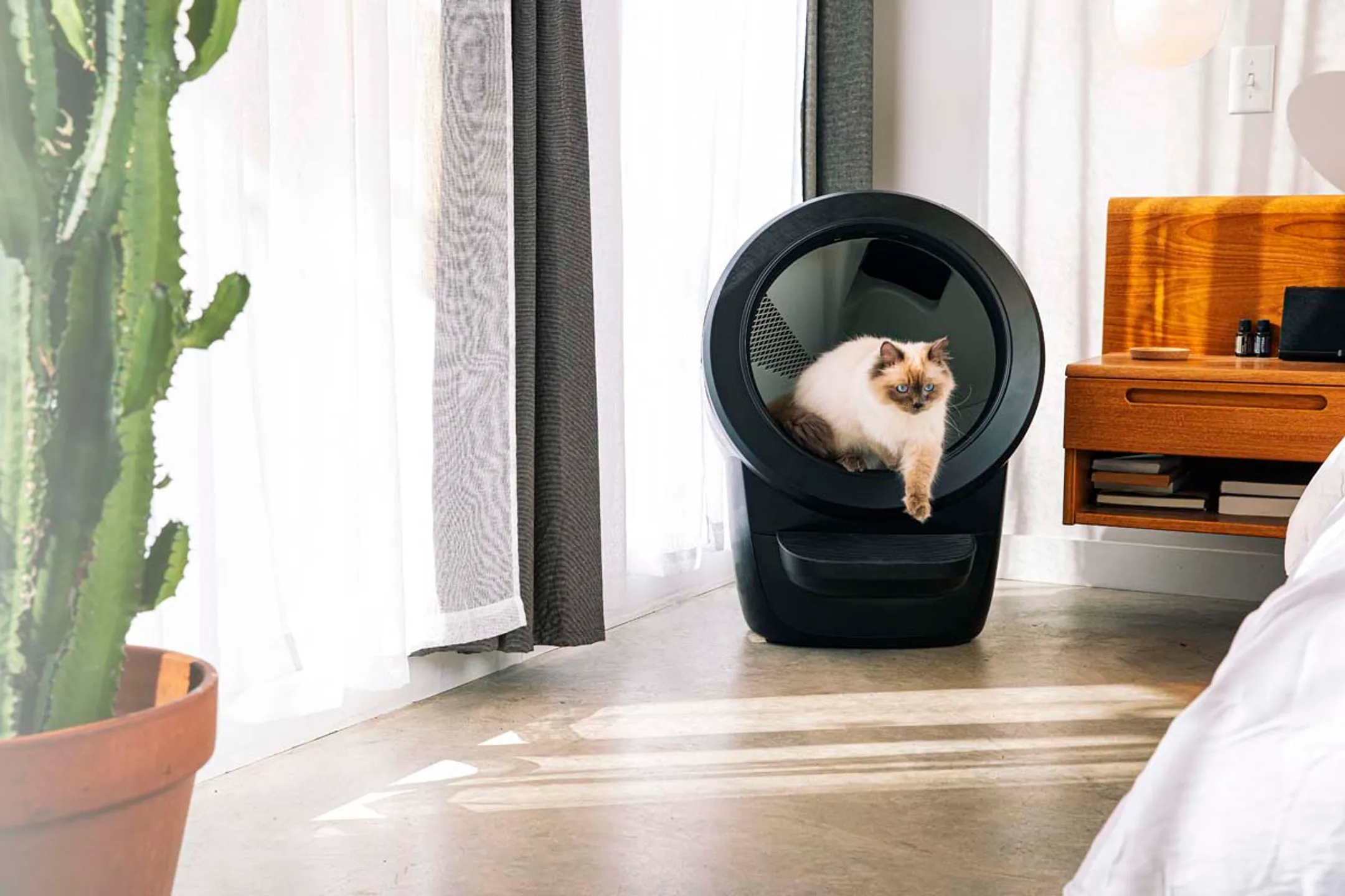 LITTER ROBOT Automatische kattenbak 4 - Zwart image
