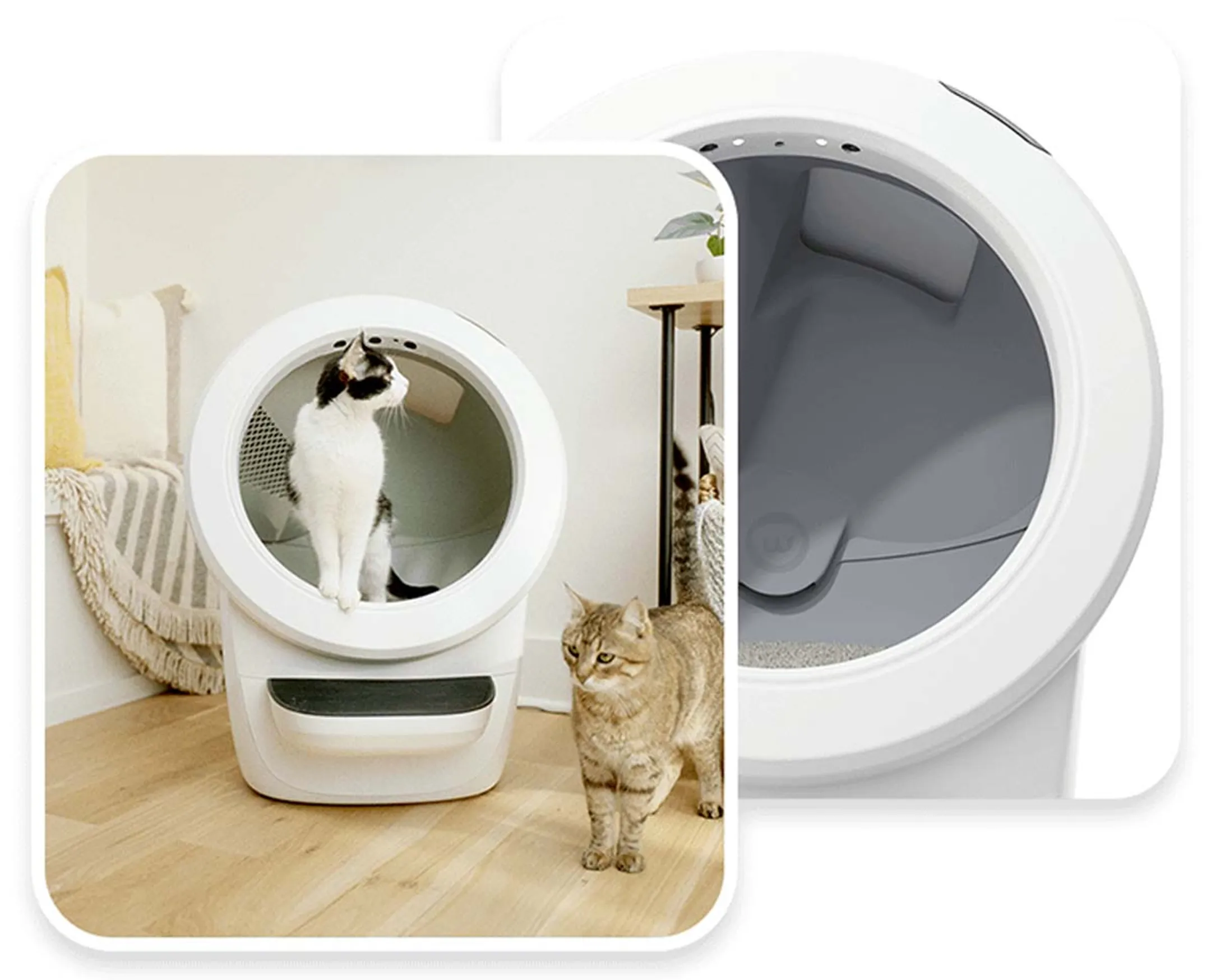 LITTER ROBOT Litière automatique 4 - Blanc image