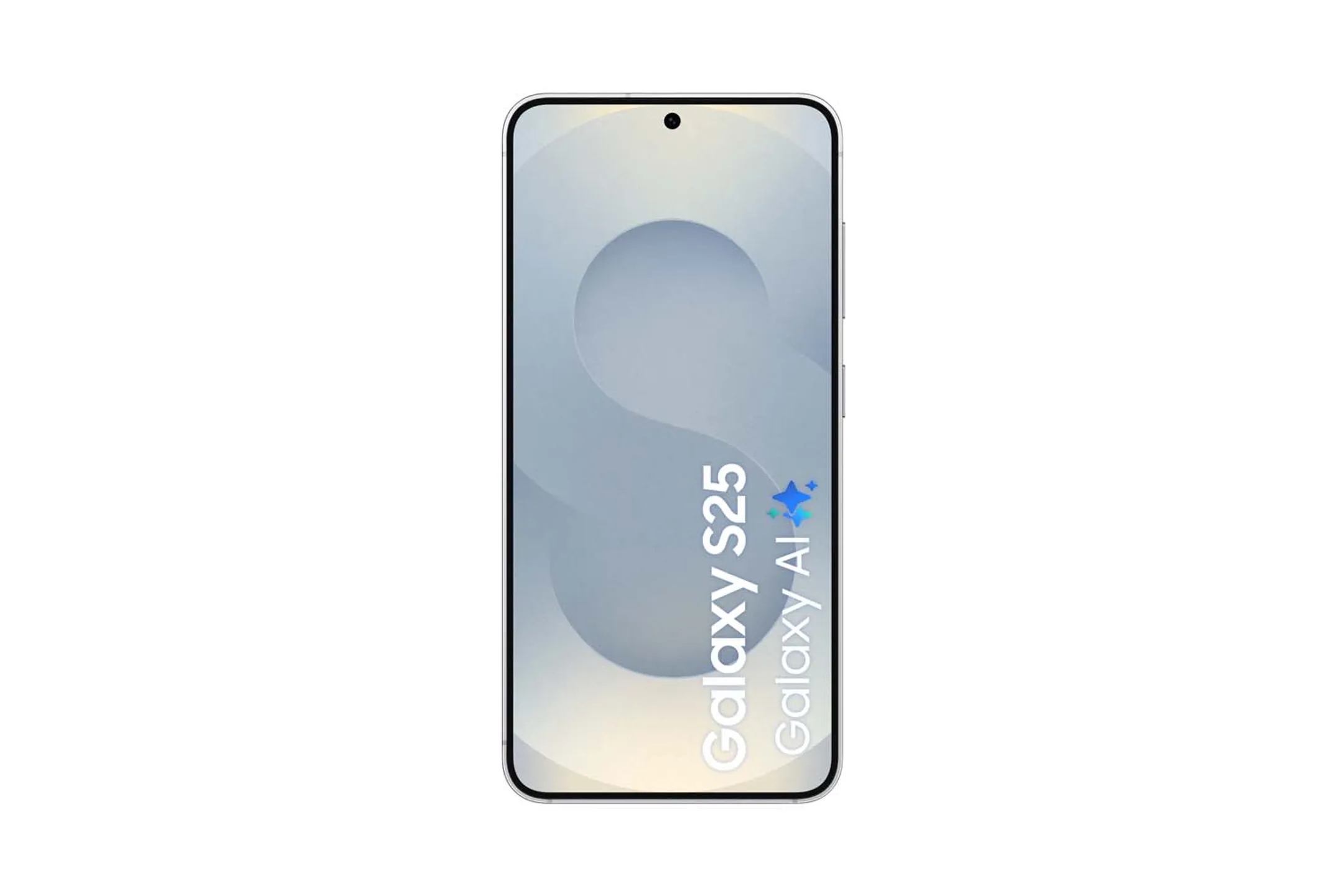 Samsung Galaxy S25 256Go - Silver Shadow image