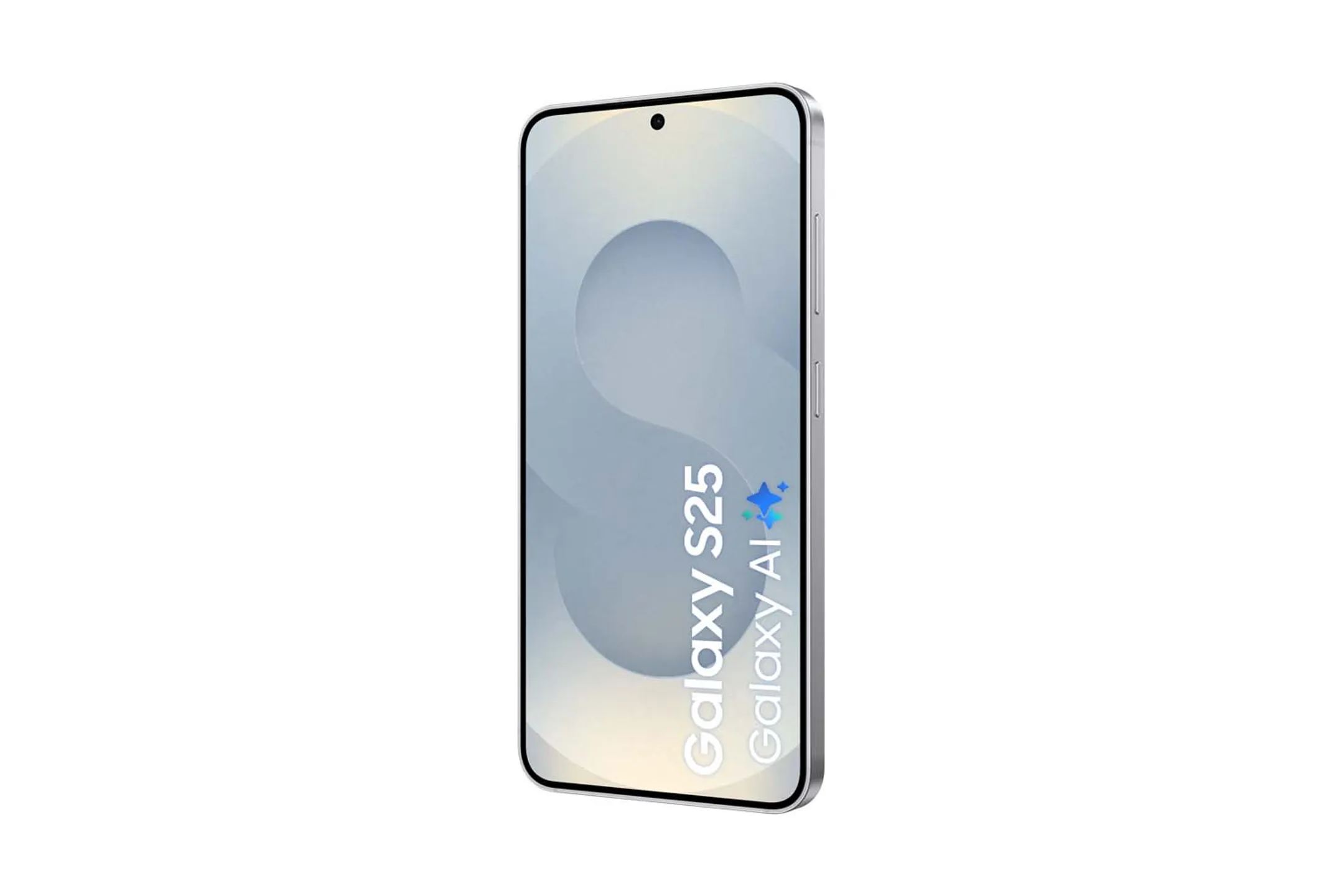 Samsung Galaxy S25 256Go - Silver Shadow image