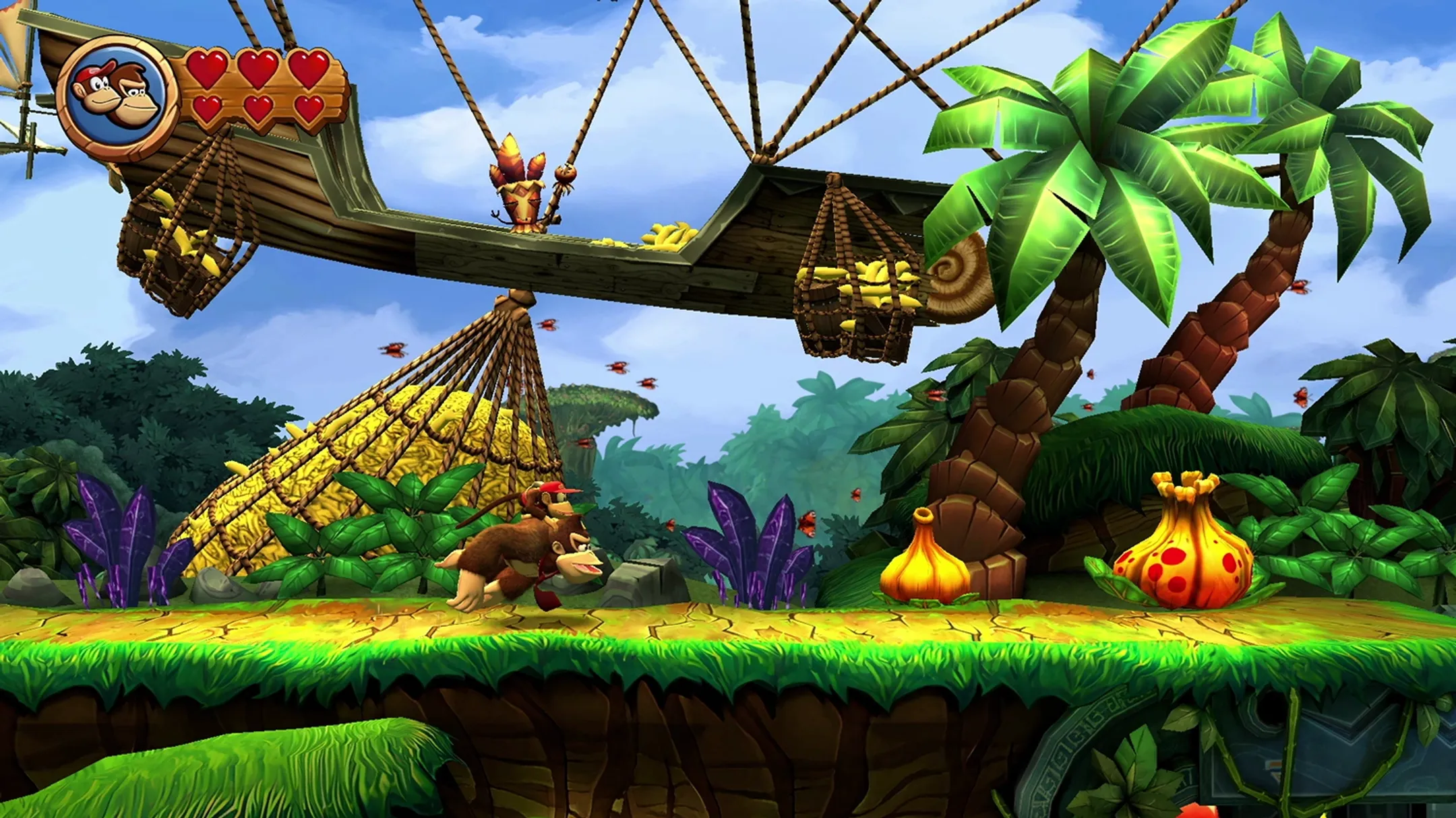 Nintendo Donkey Kong Country Returns HD image