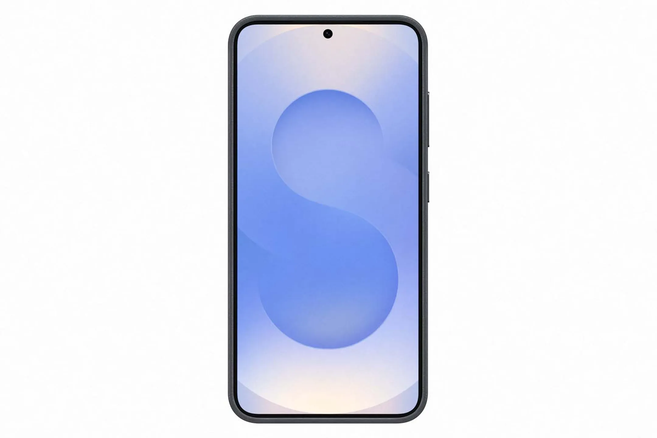 Samsung Kindsuit backcover pour Galaxy S25 - Noir image