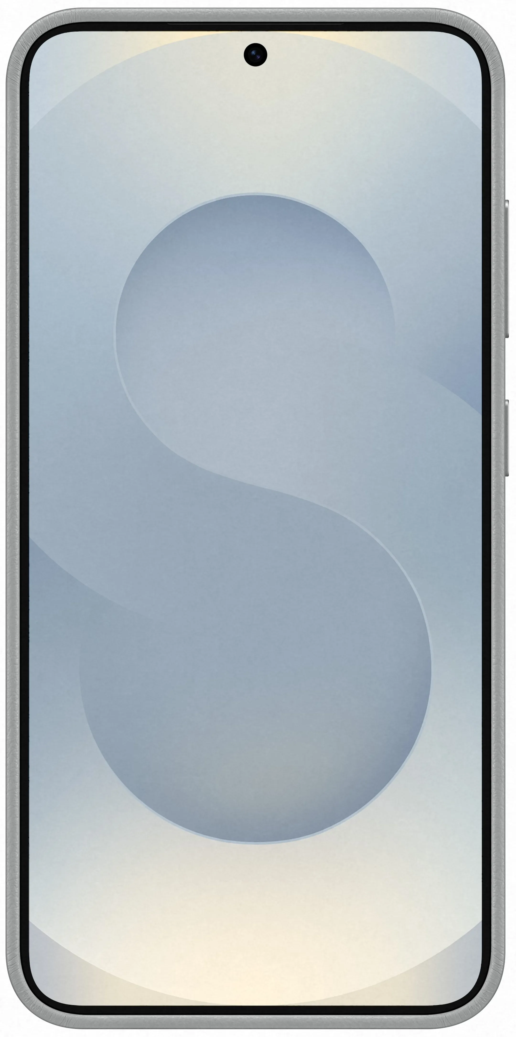 Samsung Kindsuit backcover pour Galaxy S25 - Gris image