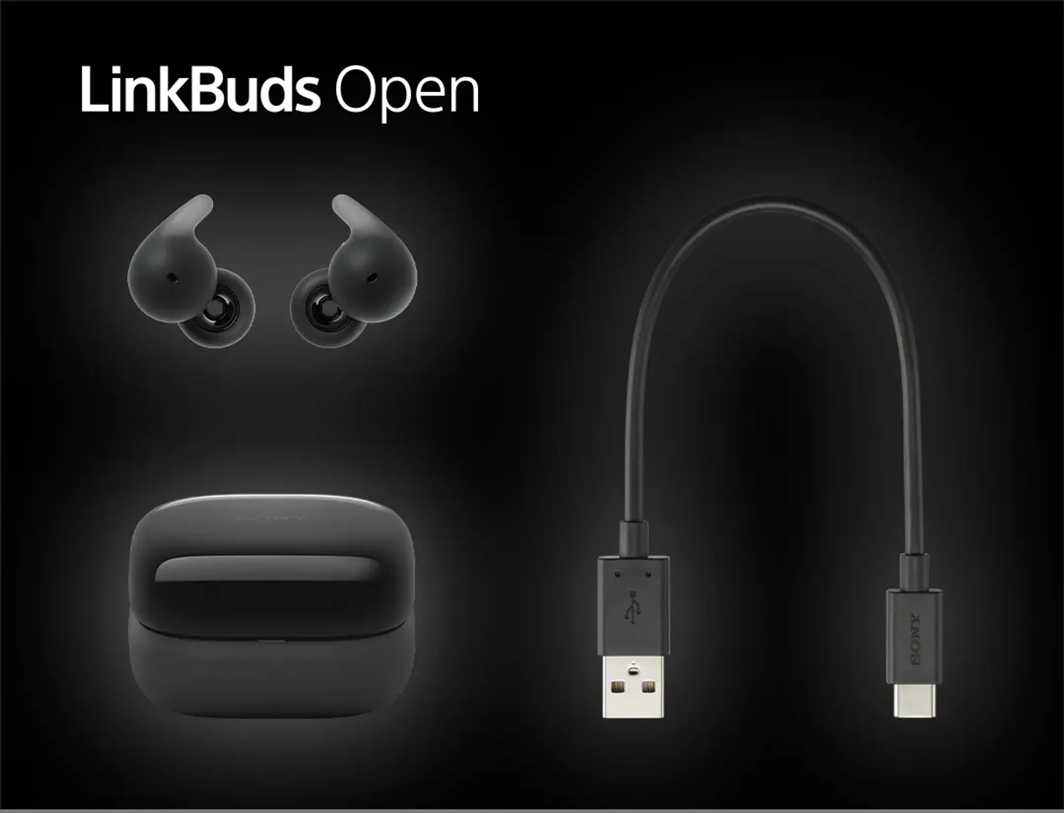 Sony LinkBuds Open oortjes - Zwart image