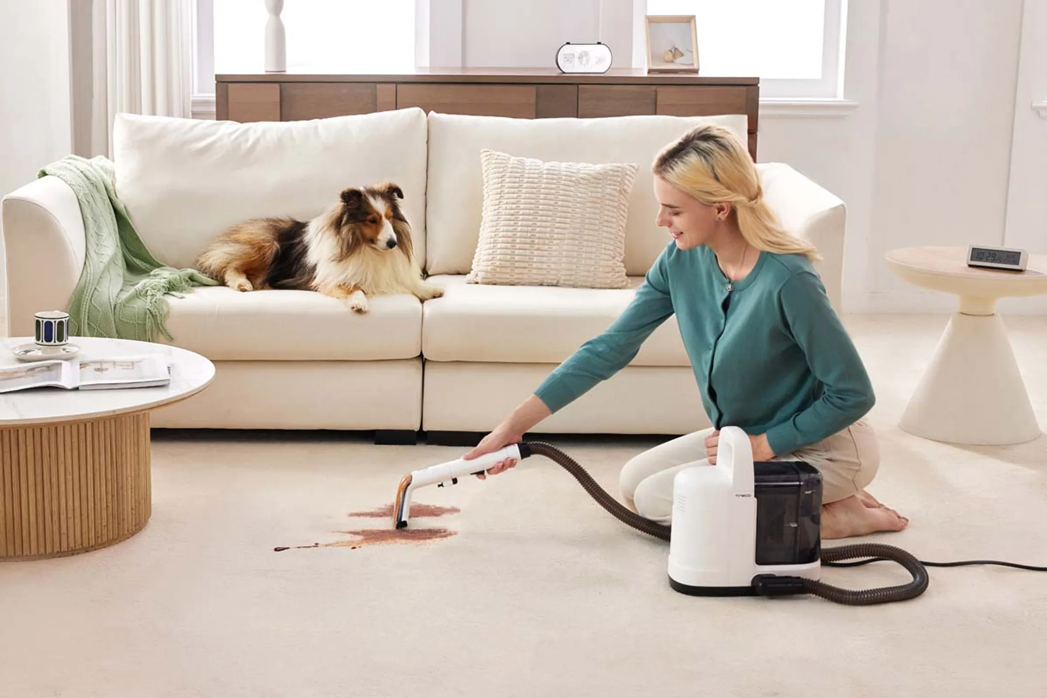 TINECO Tapijtreiniger iCarpet Spot image