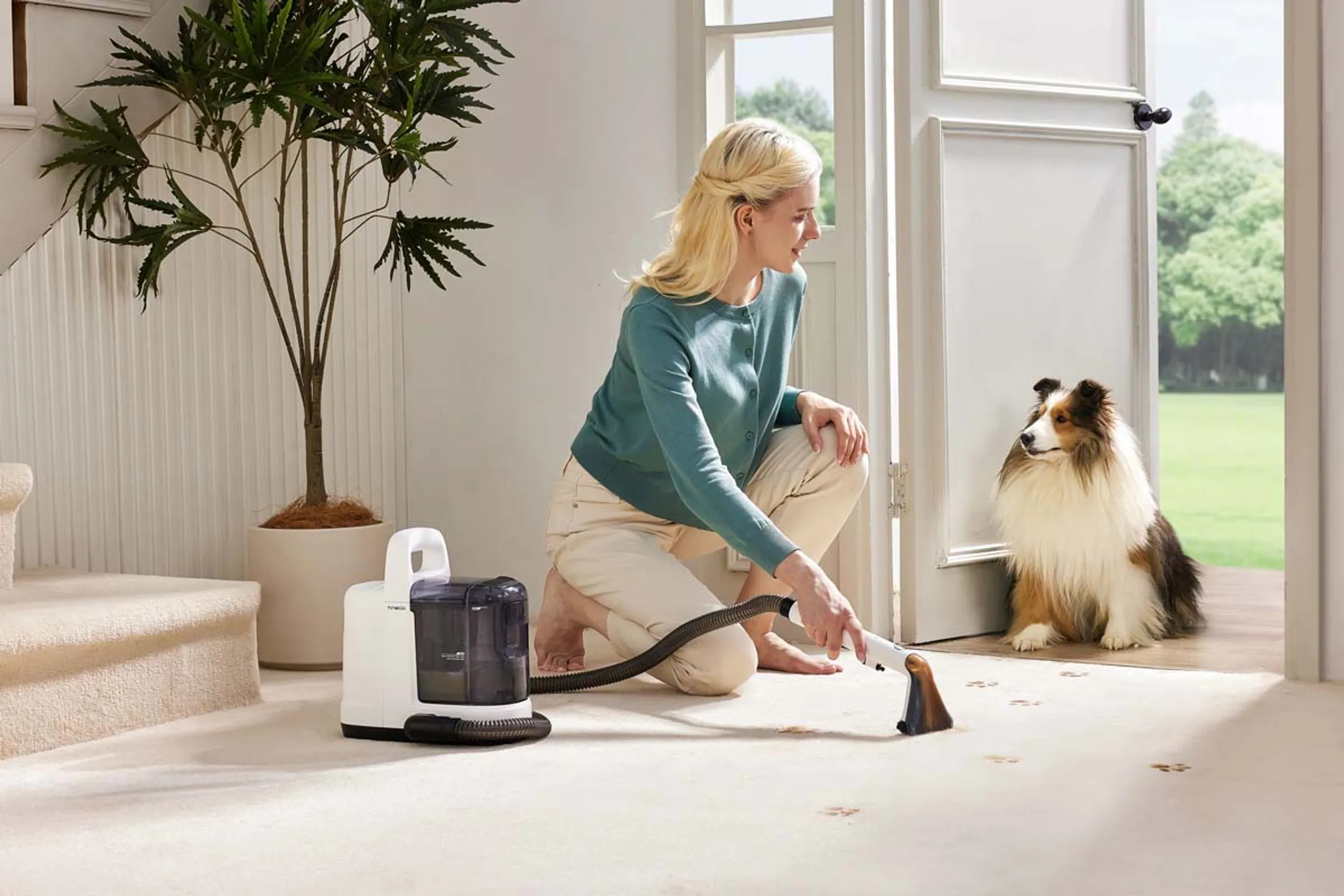 TINECO Tapijtreiniger iCarpet Spot image