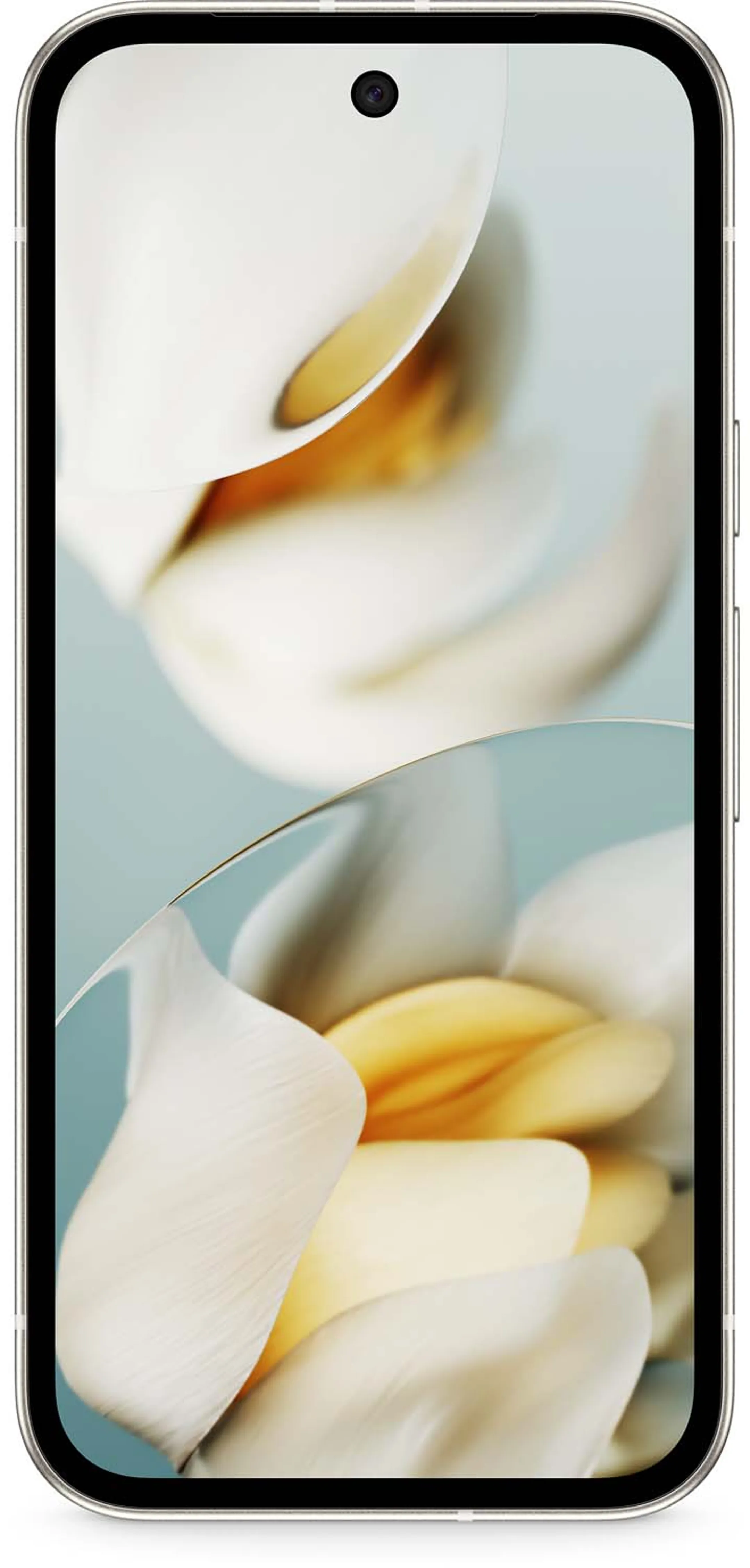 Google Pixel 9a 128 Go - Blanc image