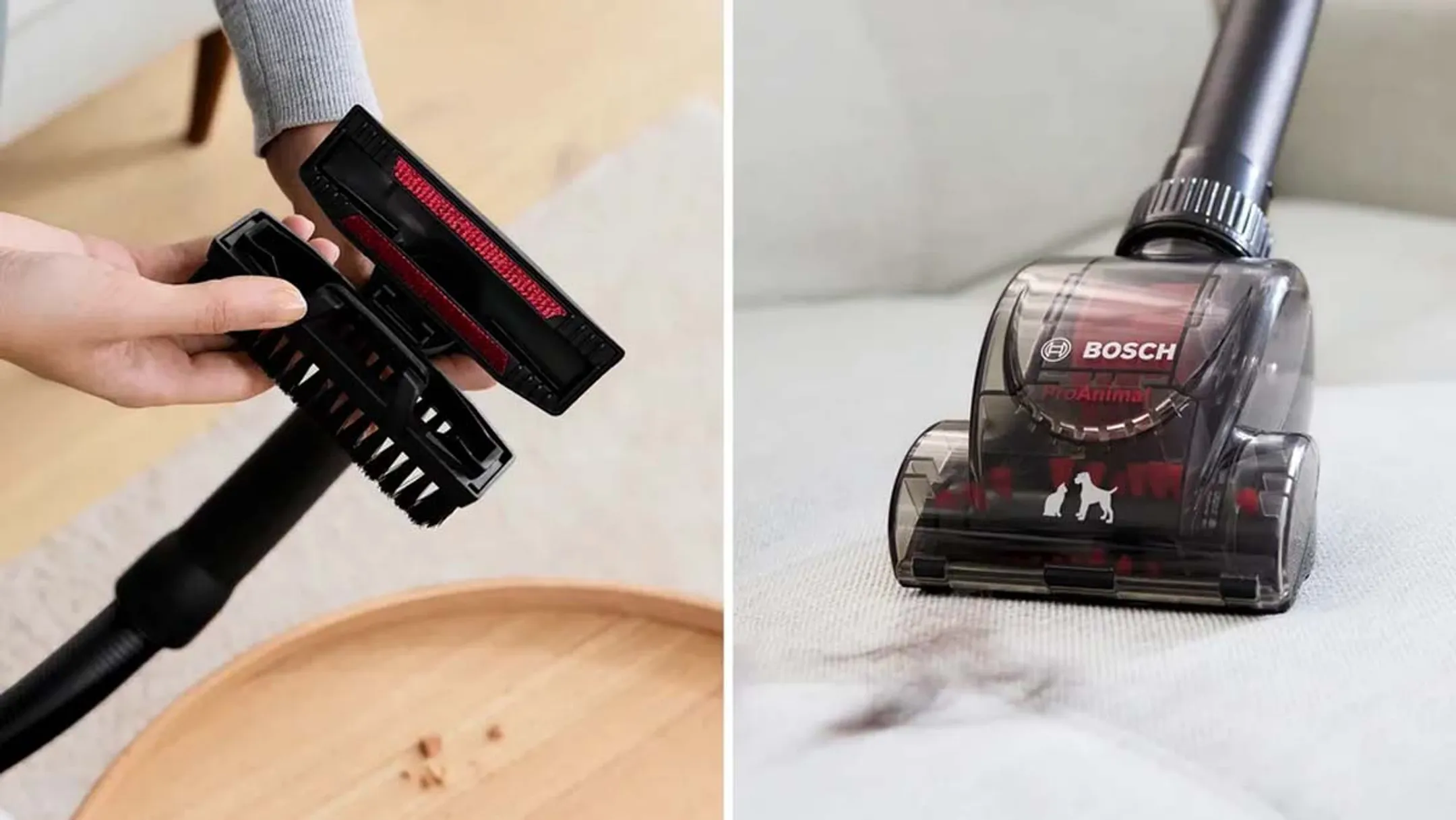 Bosch Aspirateur sans sac Série 8 ProAnimal BGS7PET1 image