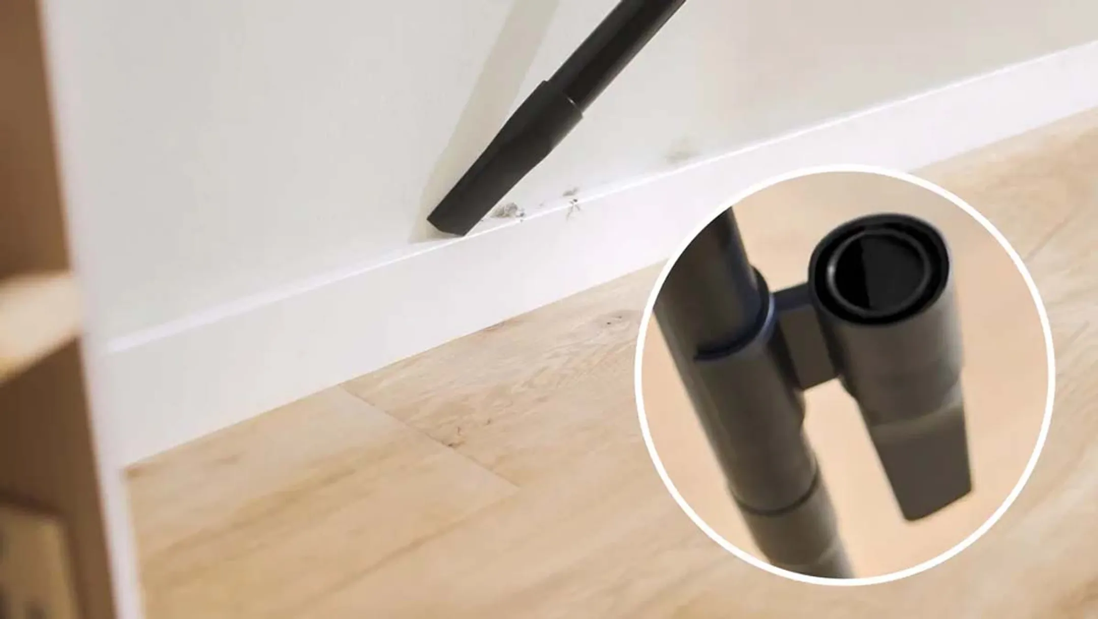 Bosch Aspirateur sans sac Série 8 ProAnimal BGS7PET1 image