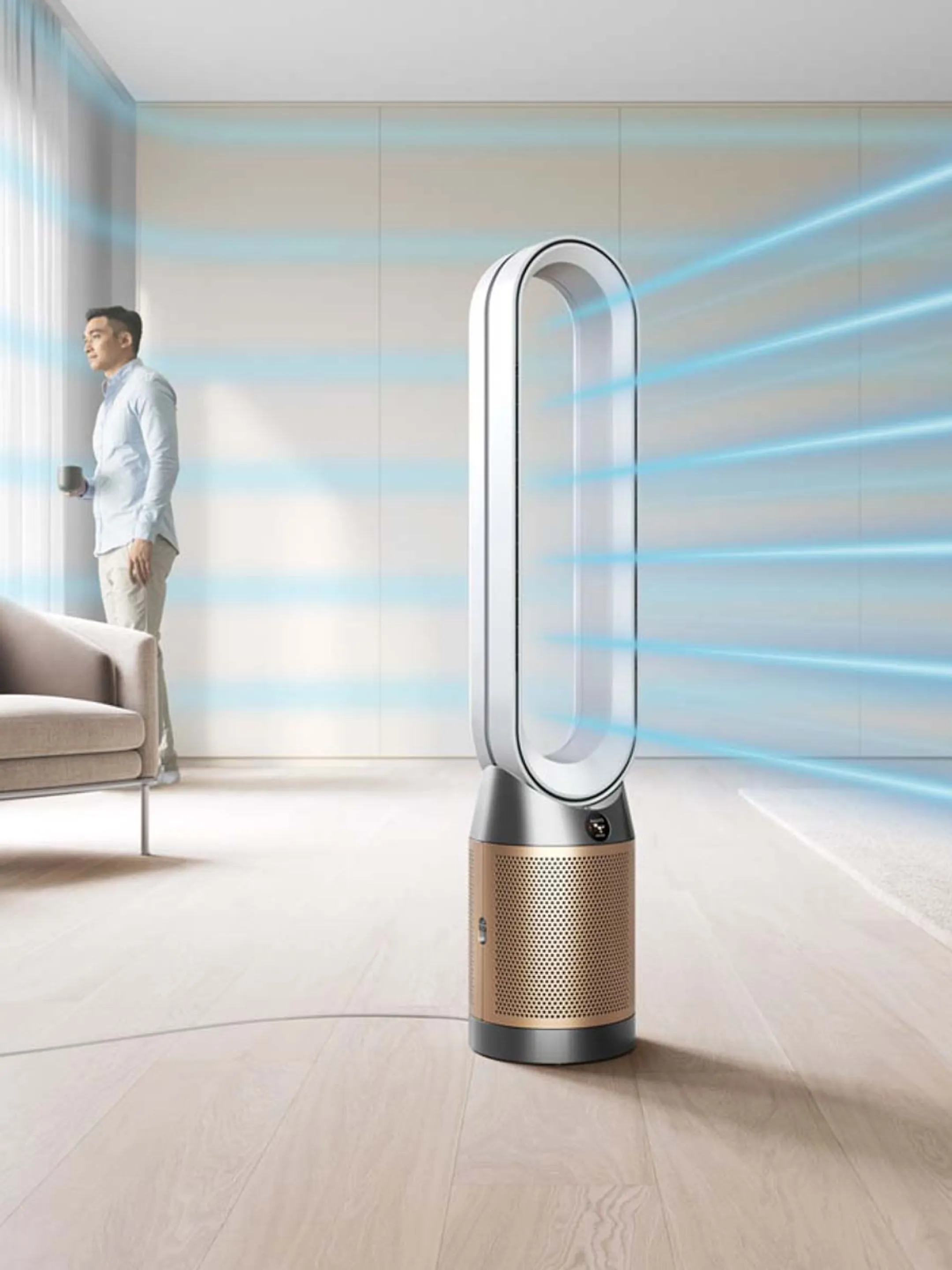Dyson Luchtreiniger Cool PC2 De-NOx image