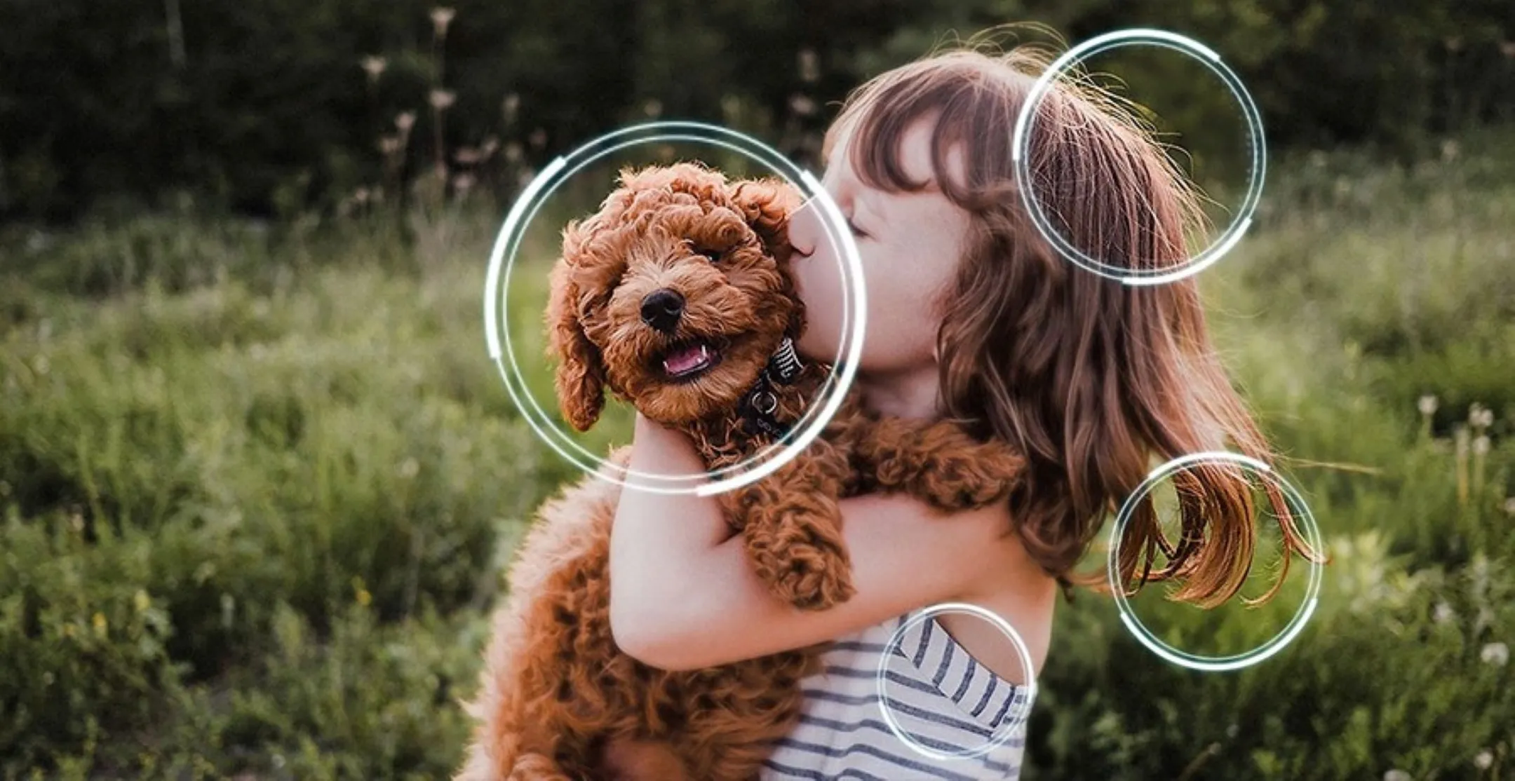 Samsung OLED TV 4K QE83S85F - 83 inch image