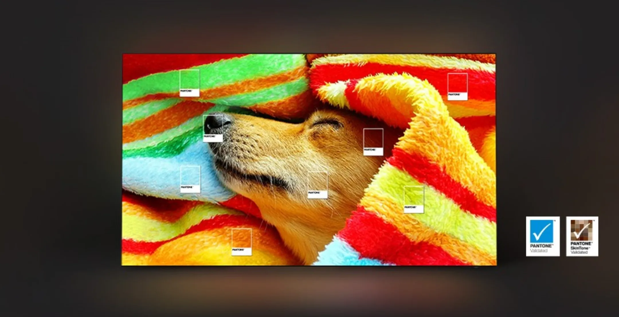 Samsung OLED 4K TV QE65S85F - 65 inch image