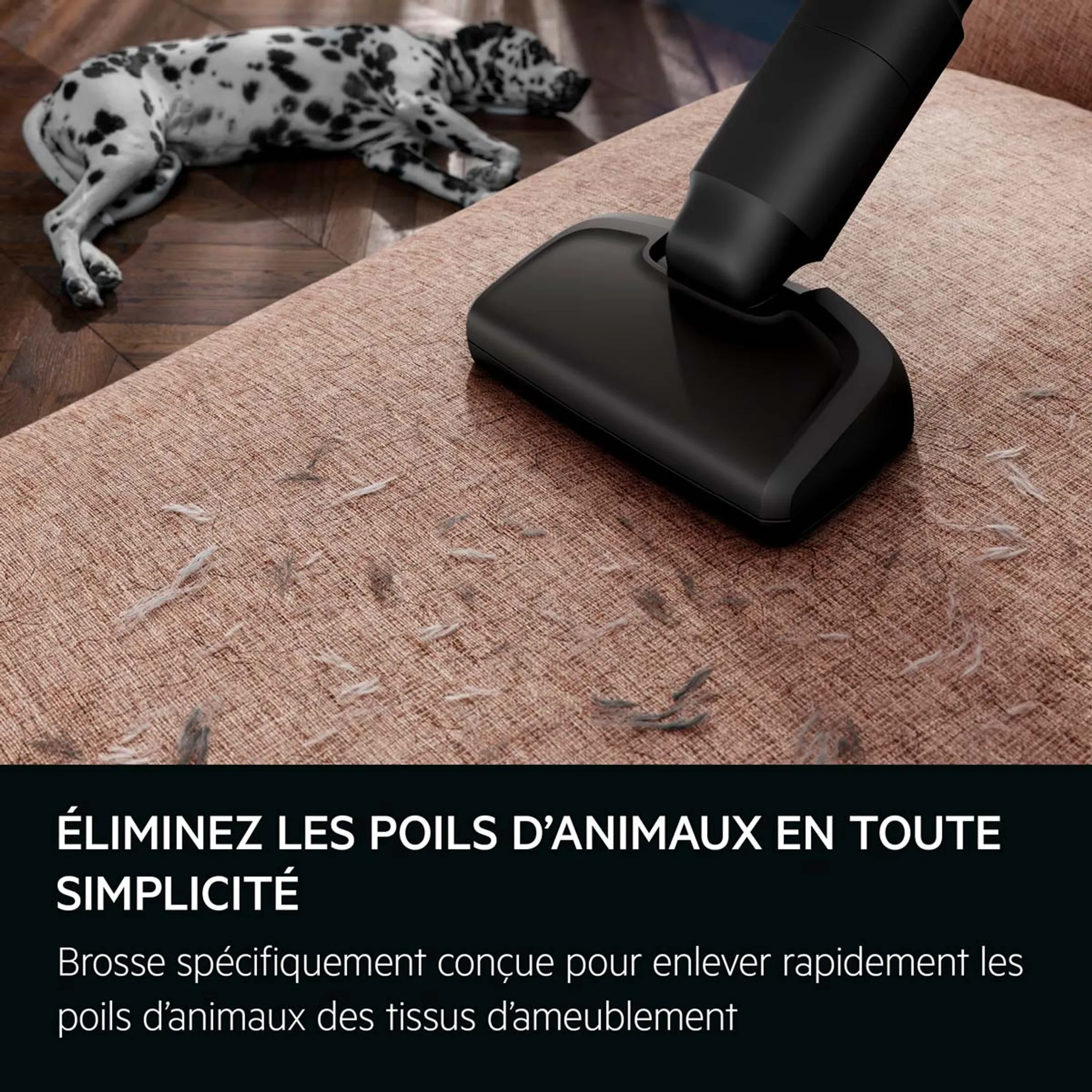 AEG Aspirateur balai Animal 6000 AP61AB21DB image