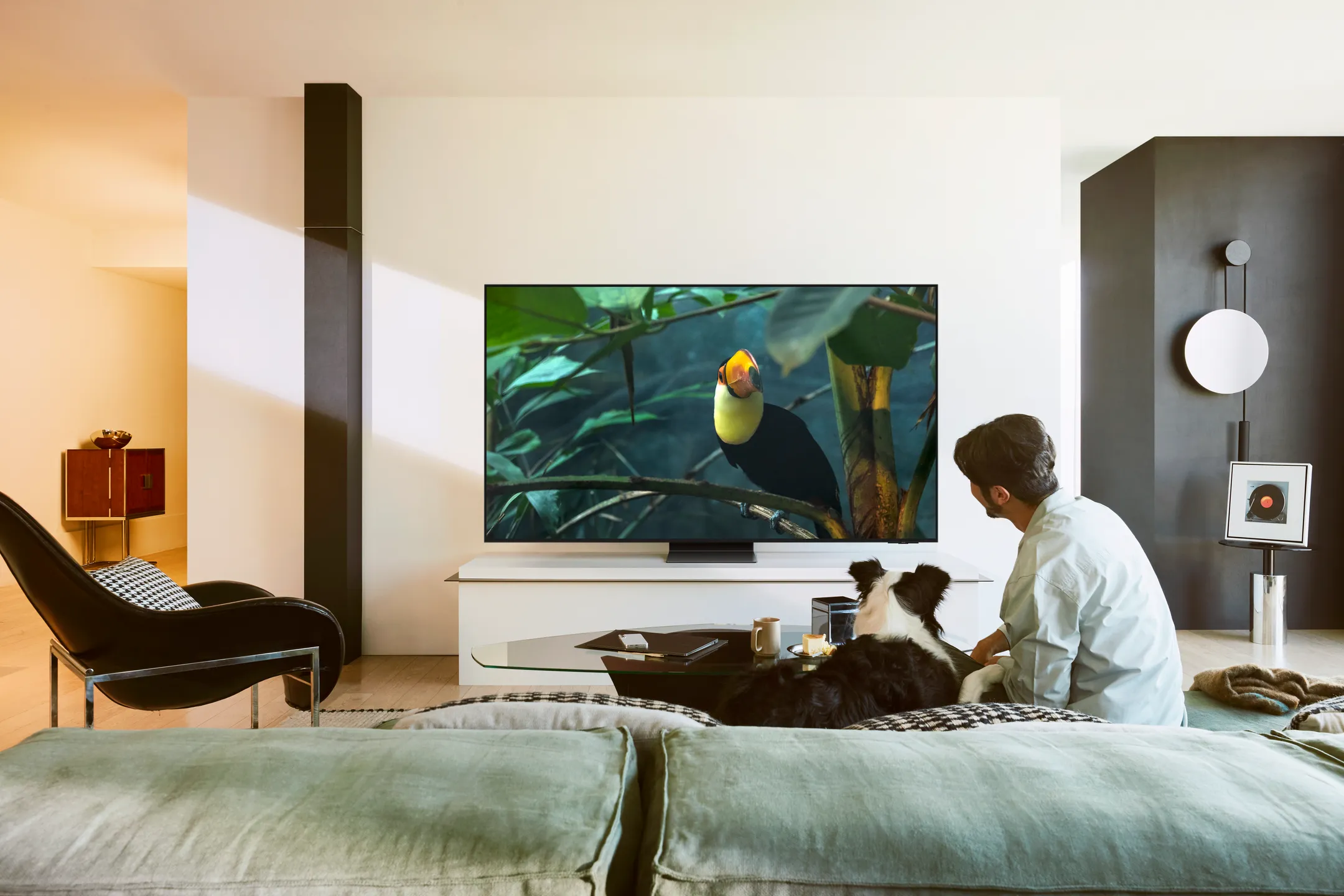 Samsung OLED 4K QE77S95F (2025) - 77 inch image