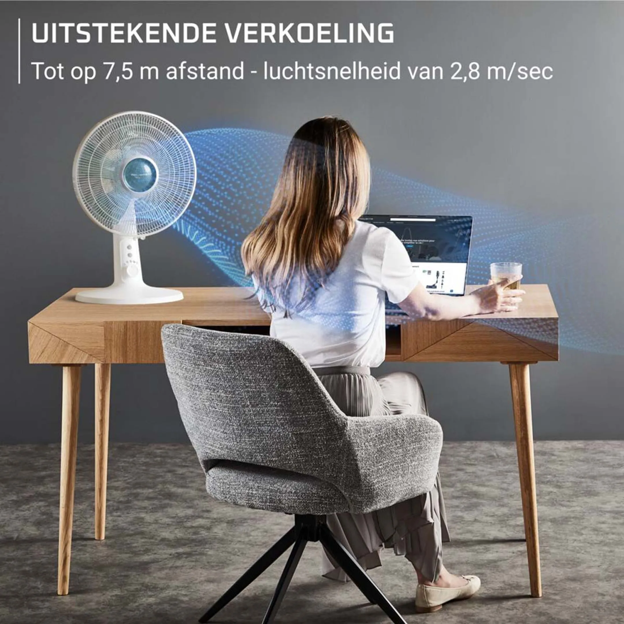 Rowenta Ventilator VU2740F0 image