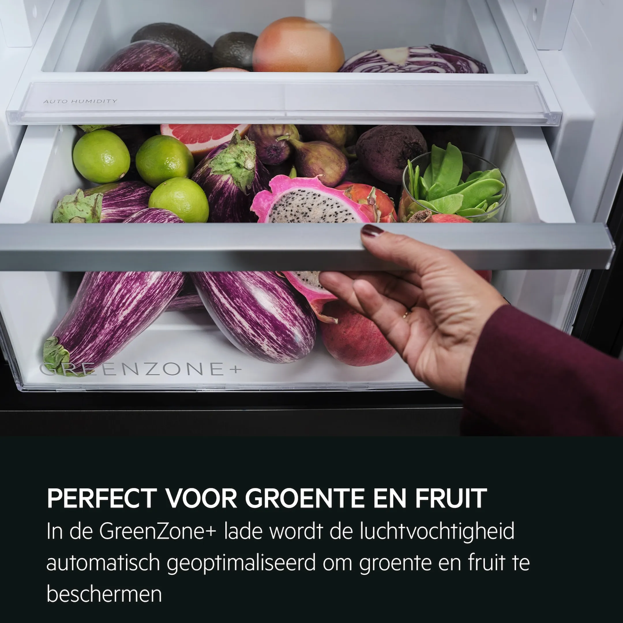 AEG Koelkast met diepvries ORC8M362BL Cooling 360°  image