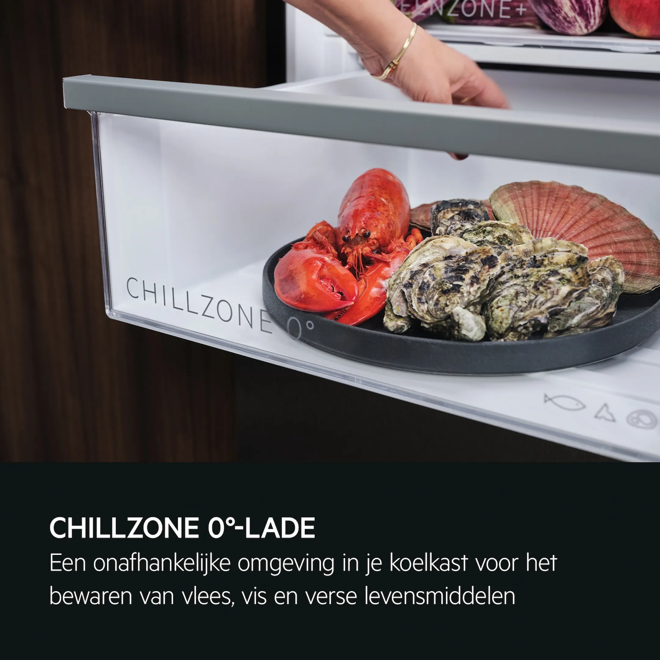 AEG Koelkast met diepvries ORC8M362BL Cooling 360°  image