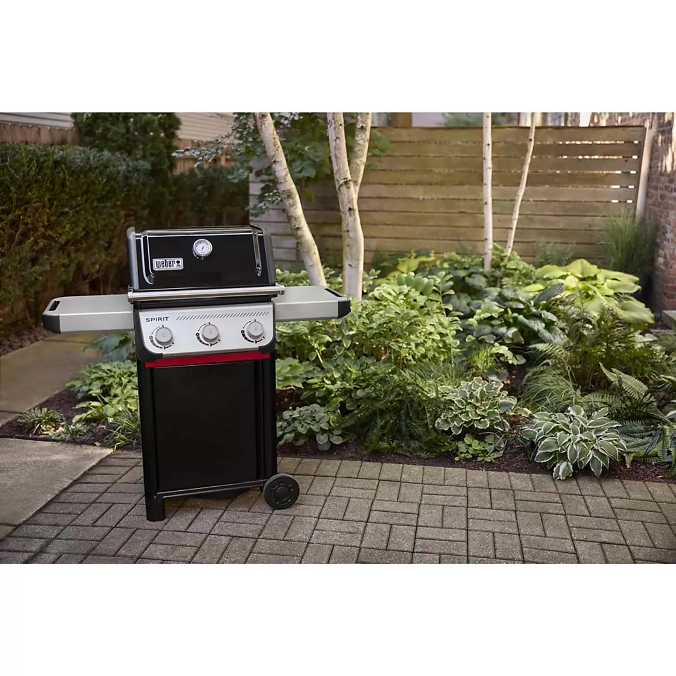 Weber Brabecue à gaz Spirit E-310 image
