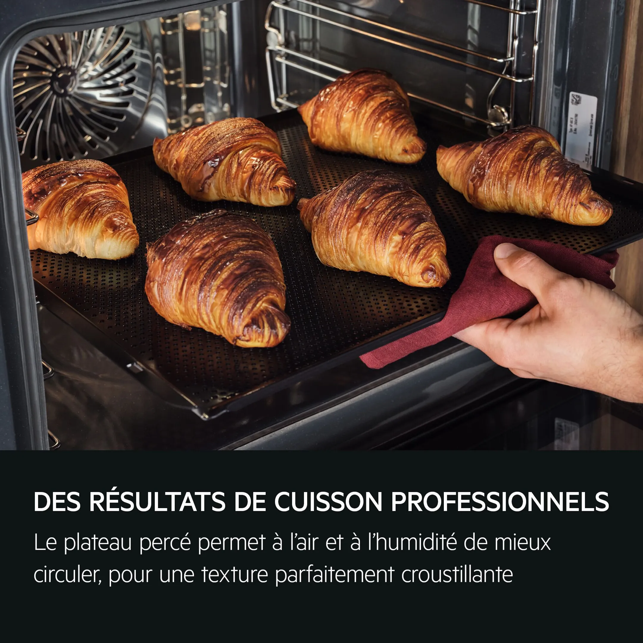 AEG Four encastrable TP9SB831AB SteamPro image