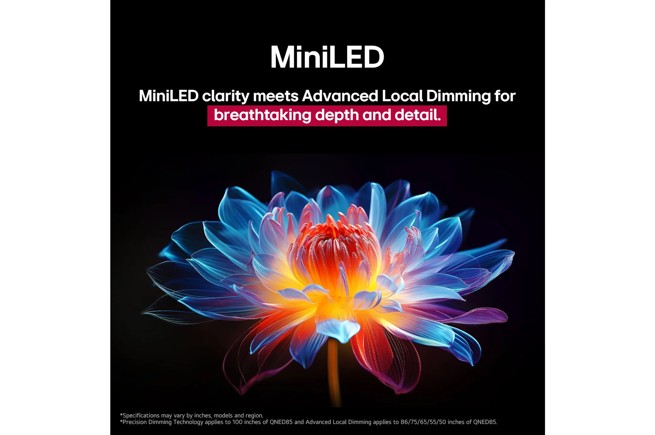 LG QNED evo AI MiniLED 4K TV  75QNED86A6A (2025) - 75 inch image