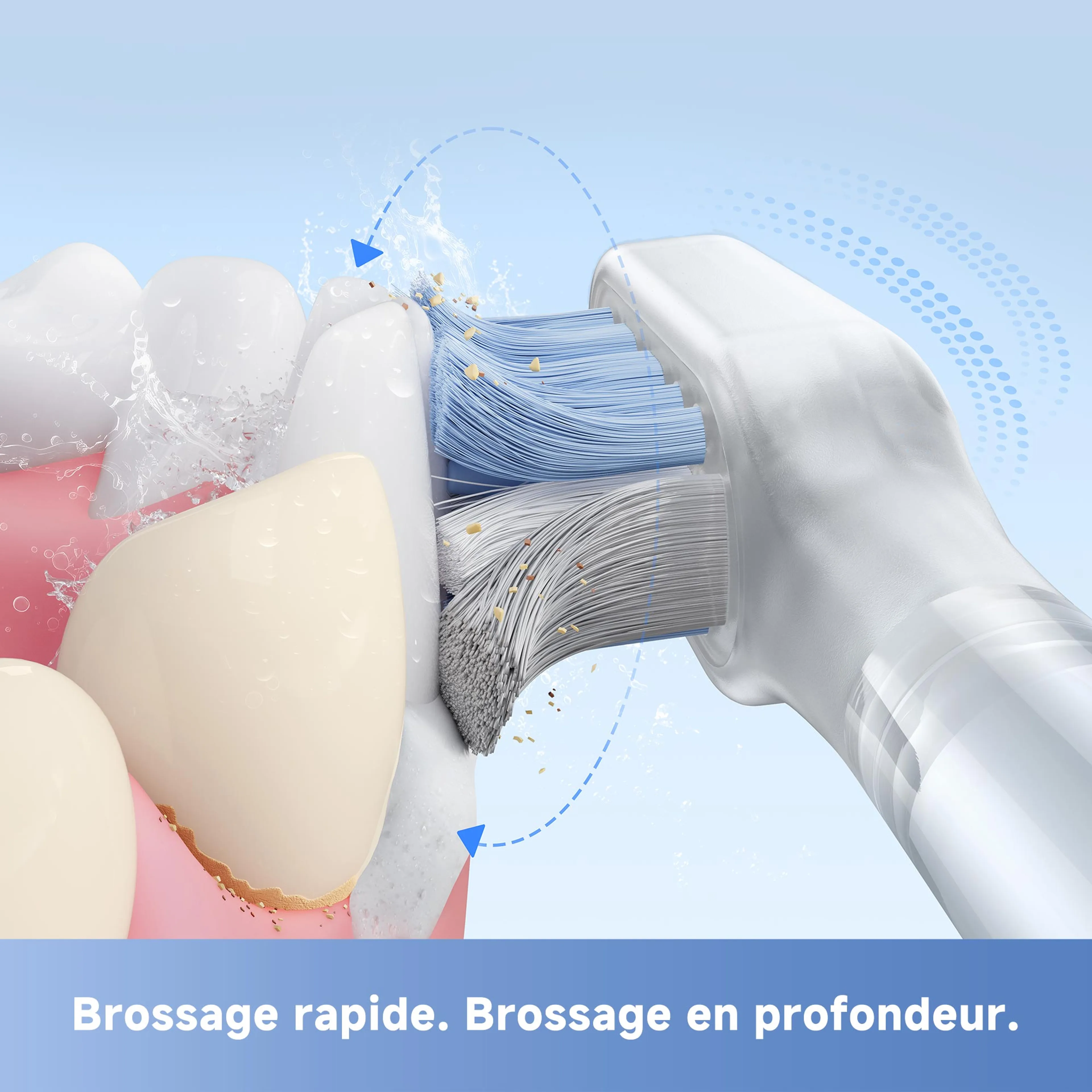 MOVA Brosse à dents électrique Fresh Noir image