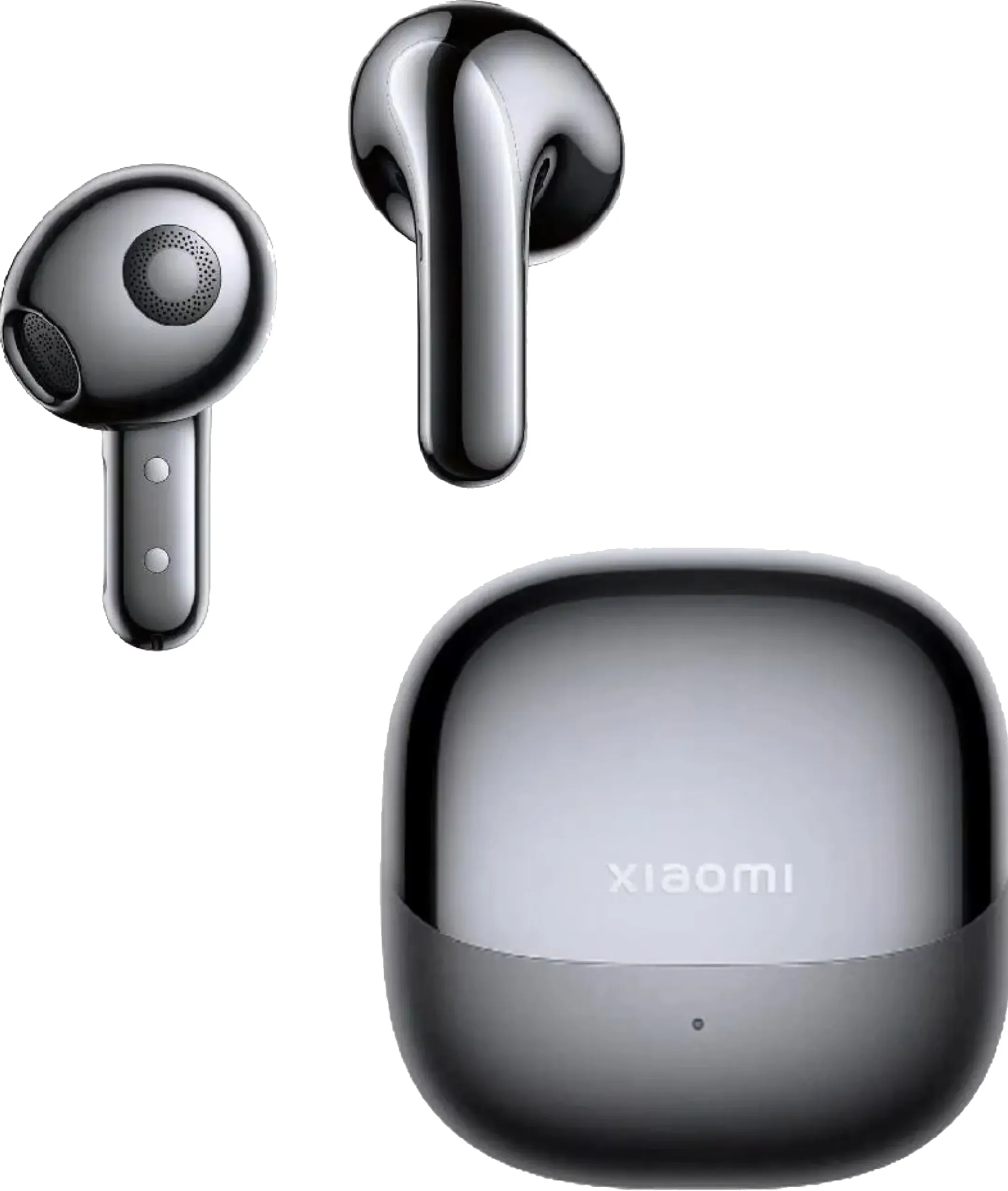 Buds 5 oortjes - Zwart