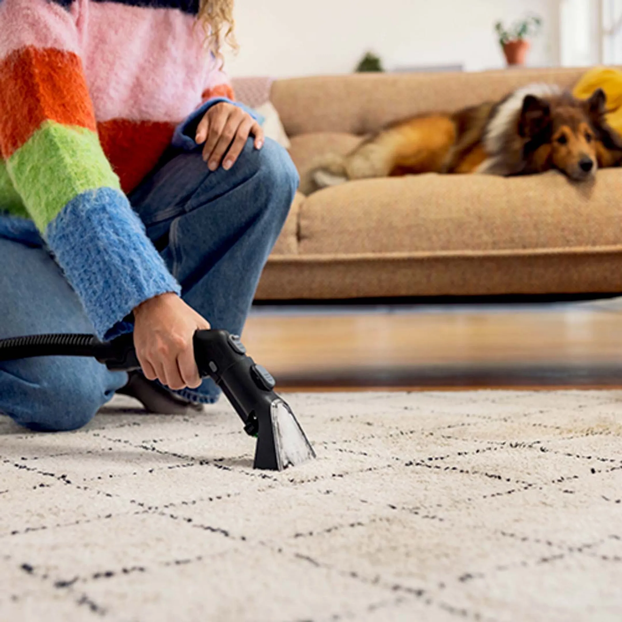 Kärcher Nettoyeur de tapis SE 3 Compact Home Floor image