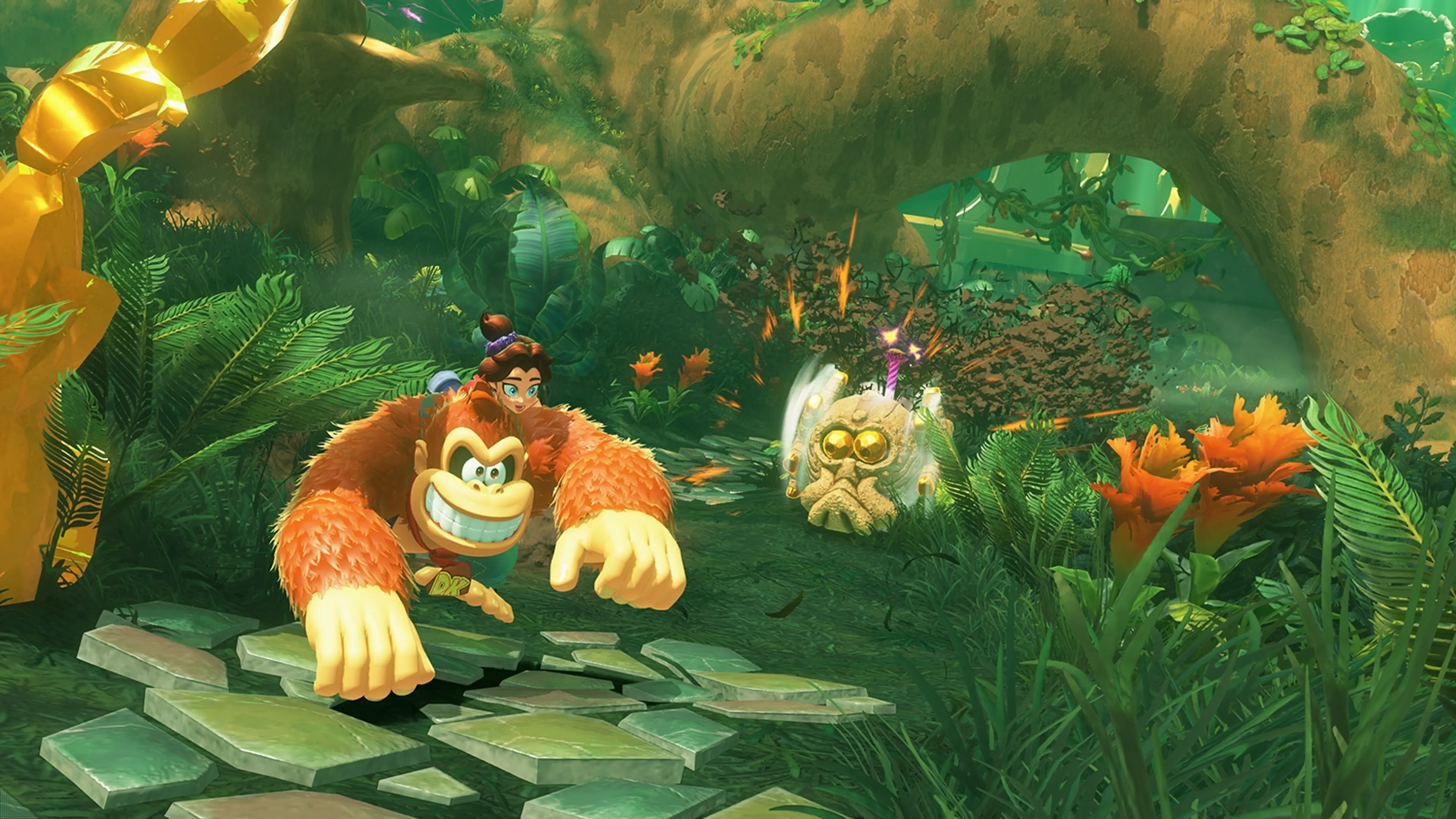 Nintendo Donkey Kong Bananza (FR) image