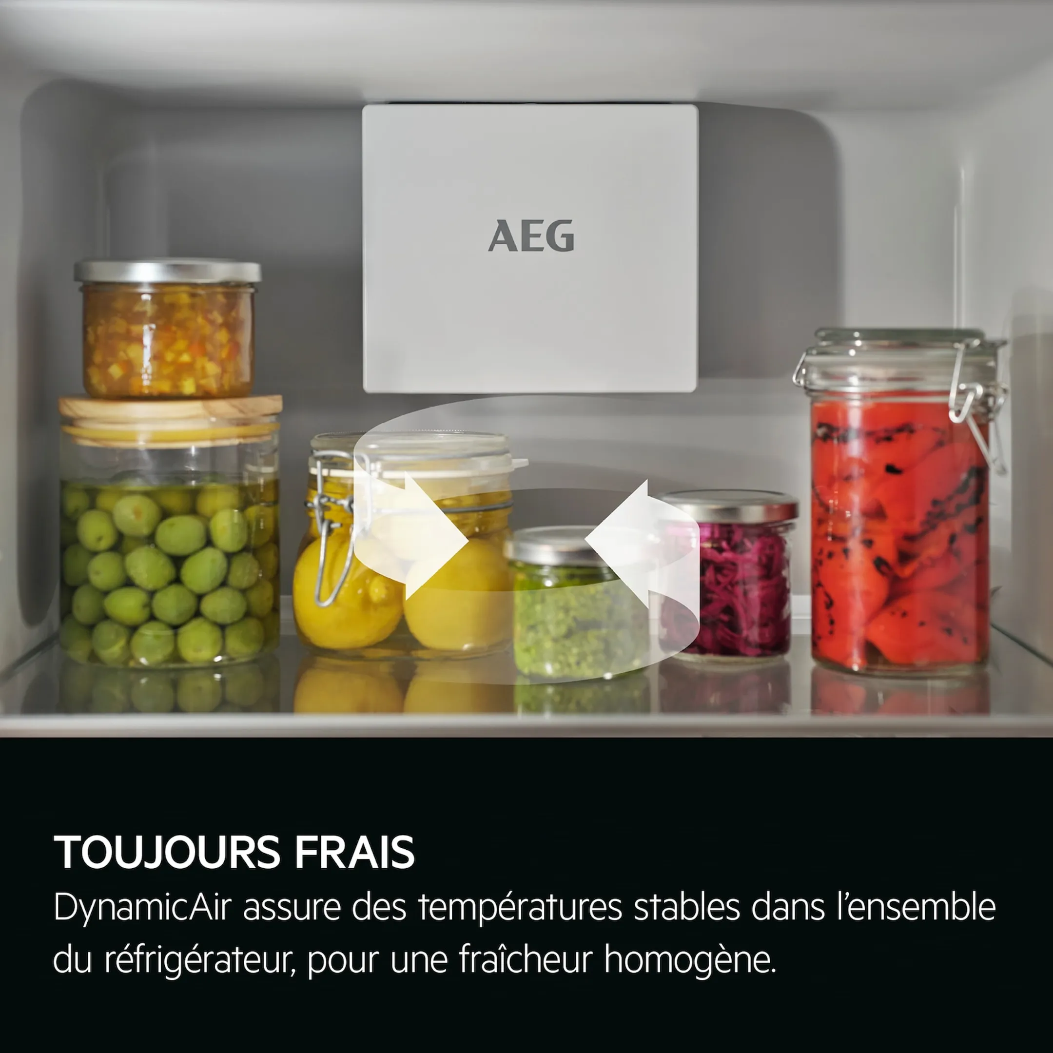 AEG Frigo encastrable TF6DS181ES image