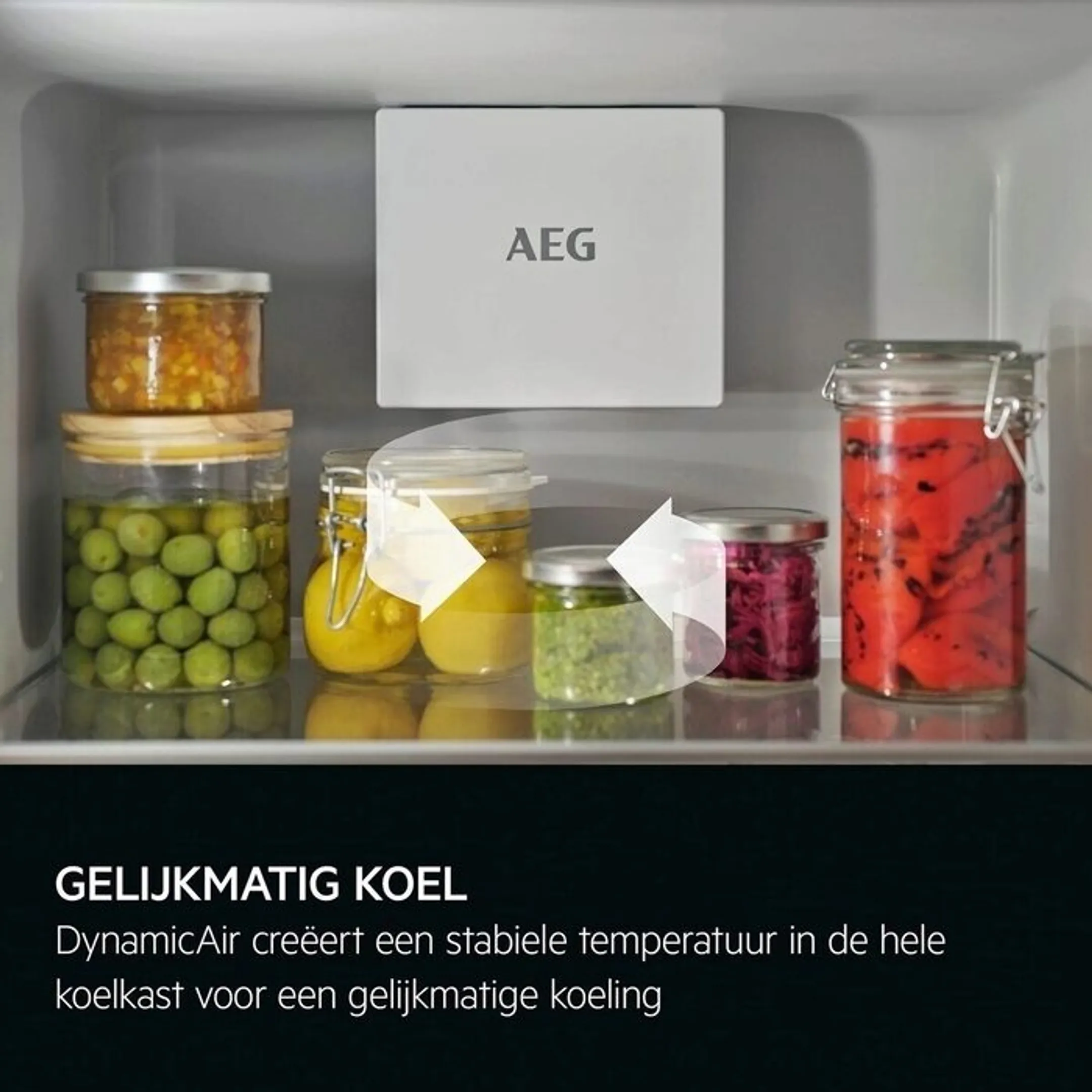 AEG Inbouw koelkast TF6DS181ES image