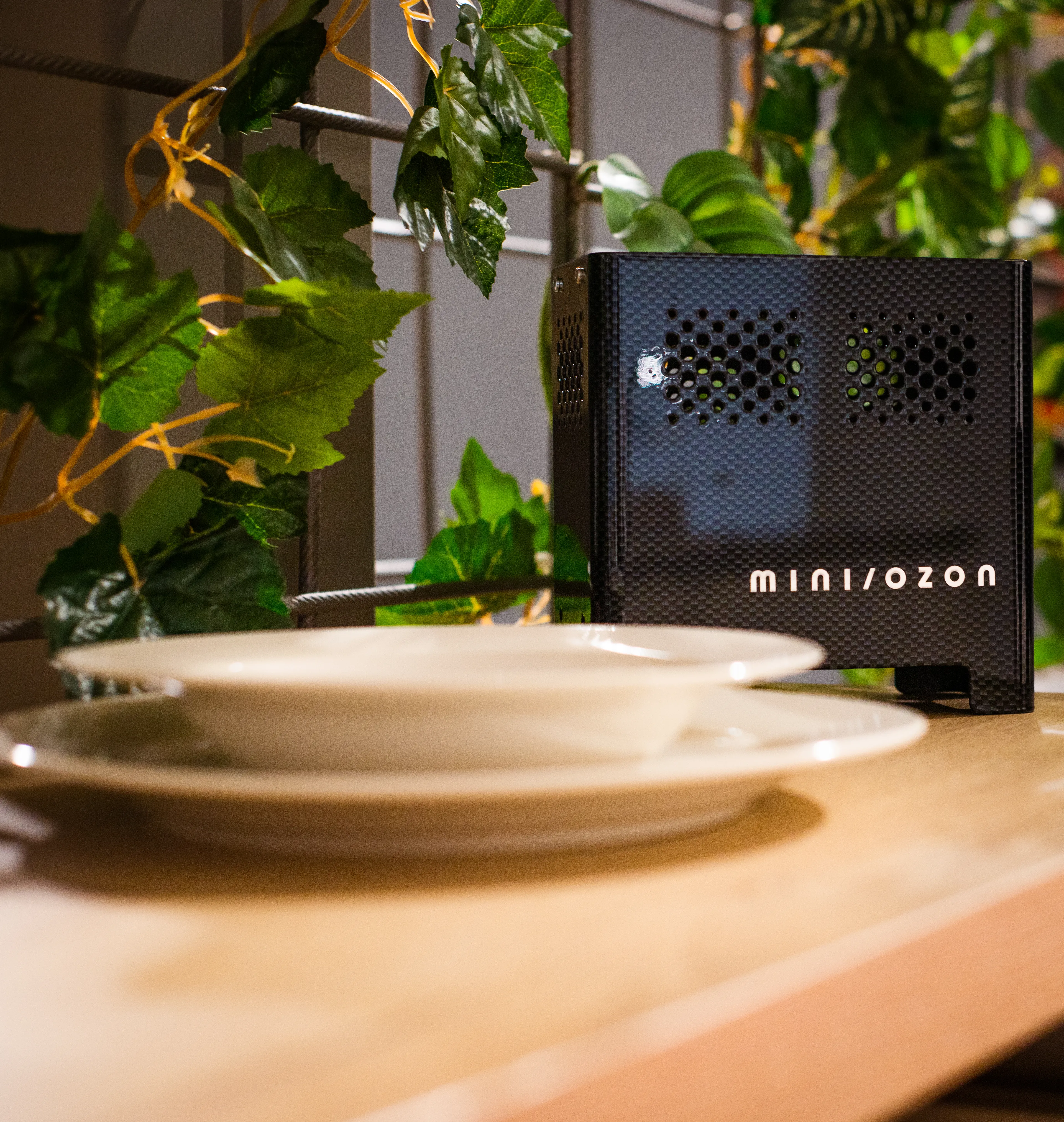 Mini Ozon Purificateur d'air - Noir image