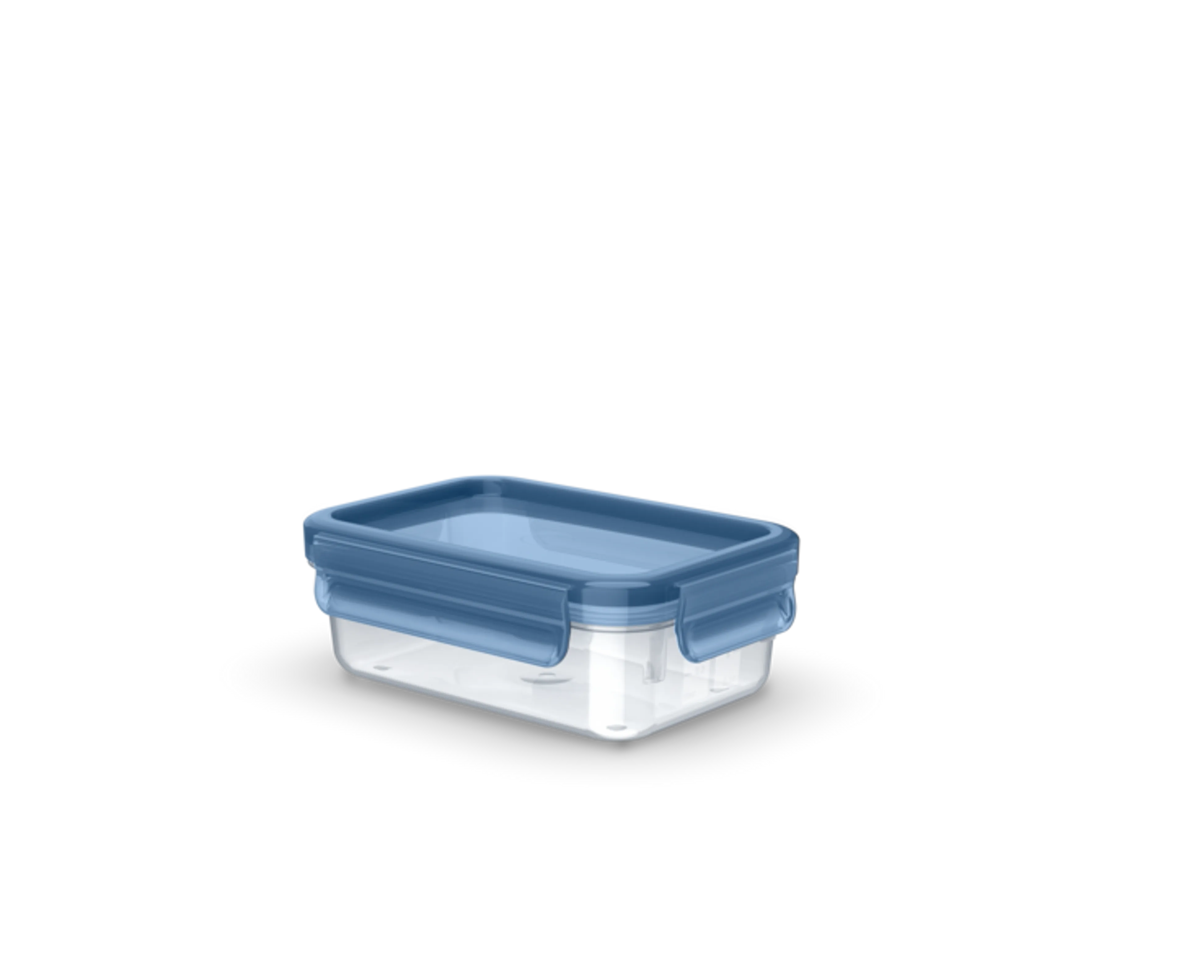 Tefal Bewaardoos MasterSeal - 0,55L image