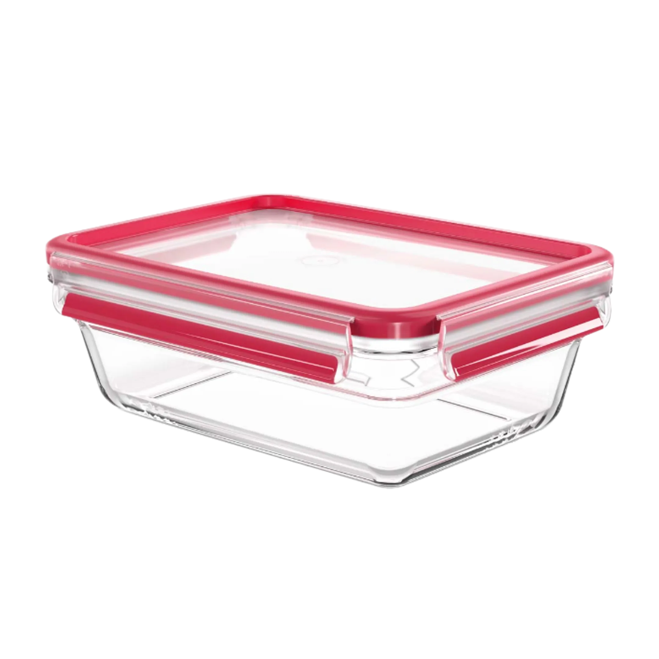 Boîte de conservation MasterSeal - 0,45L