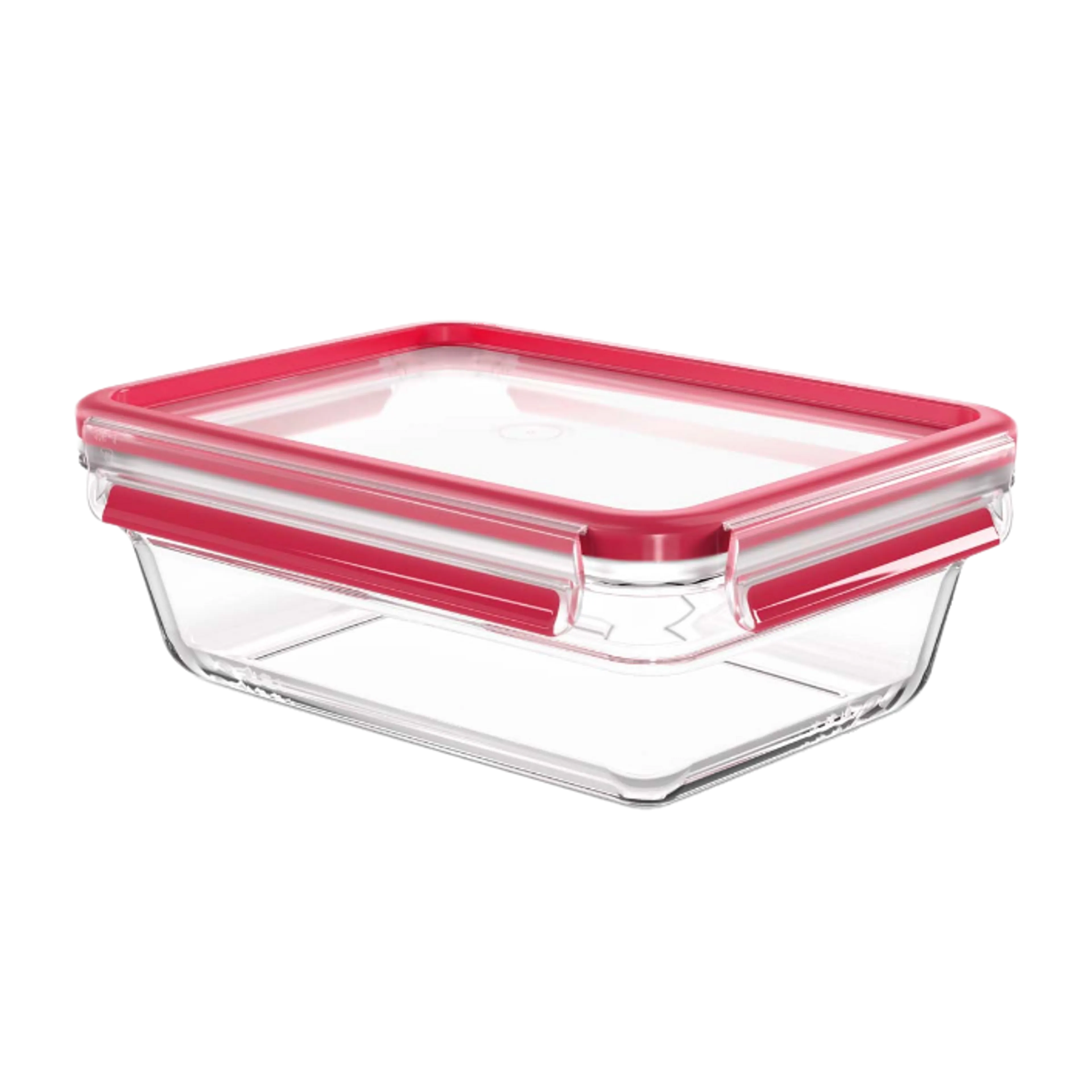 Boîte de conservation MasterSeal - 0,45L