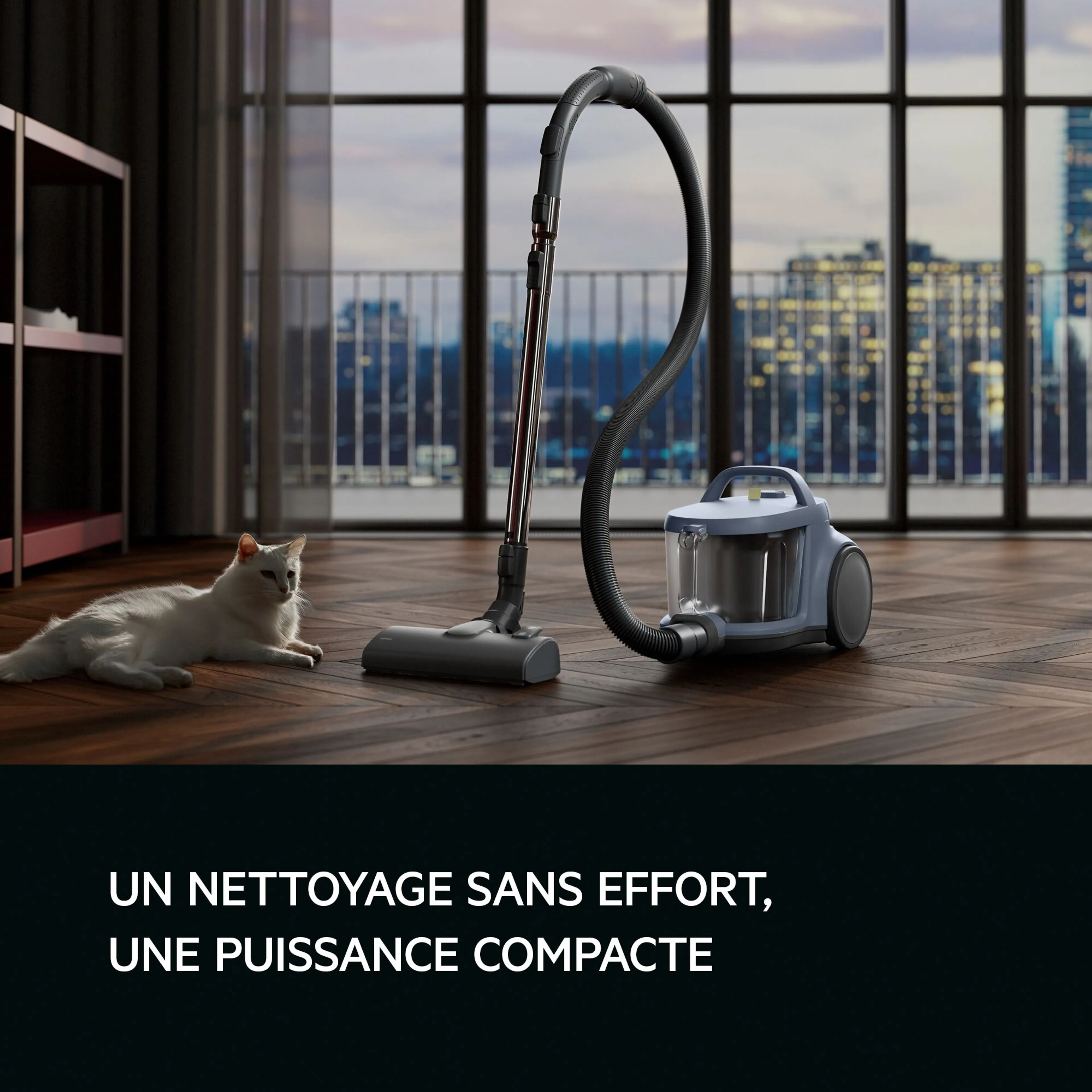 AEG Aspirateur sans sac Animal 5000 AL51A3LDB image