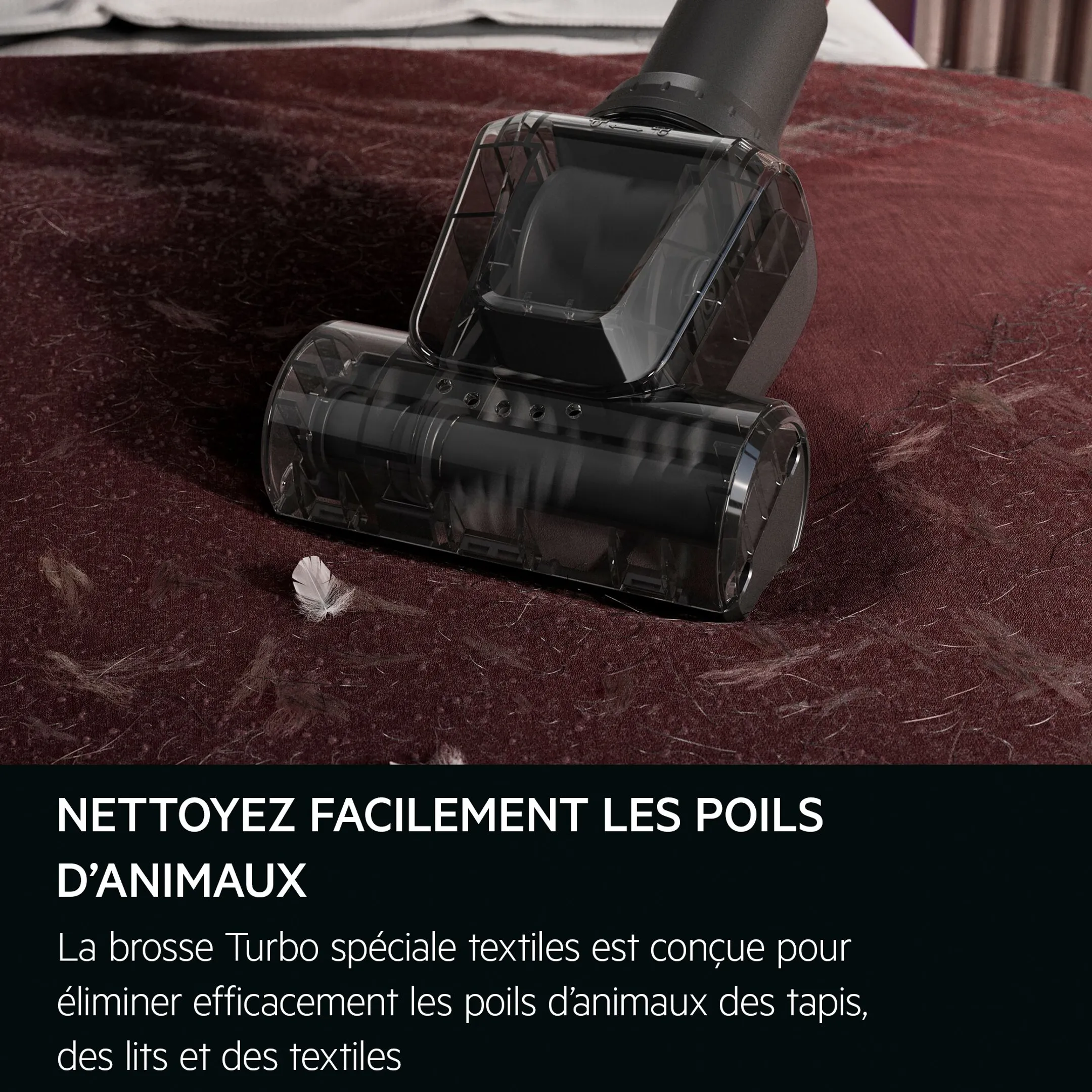 AEG Aspirateur sans sac Animal 5000 AL51A3LDB image